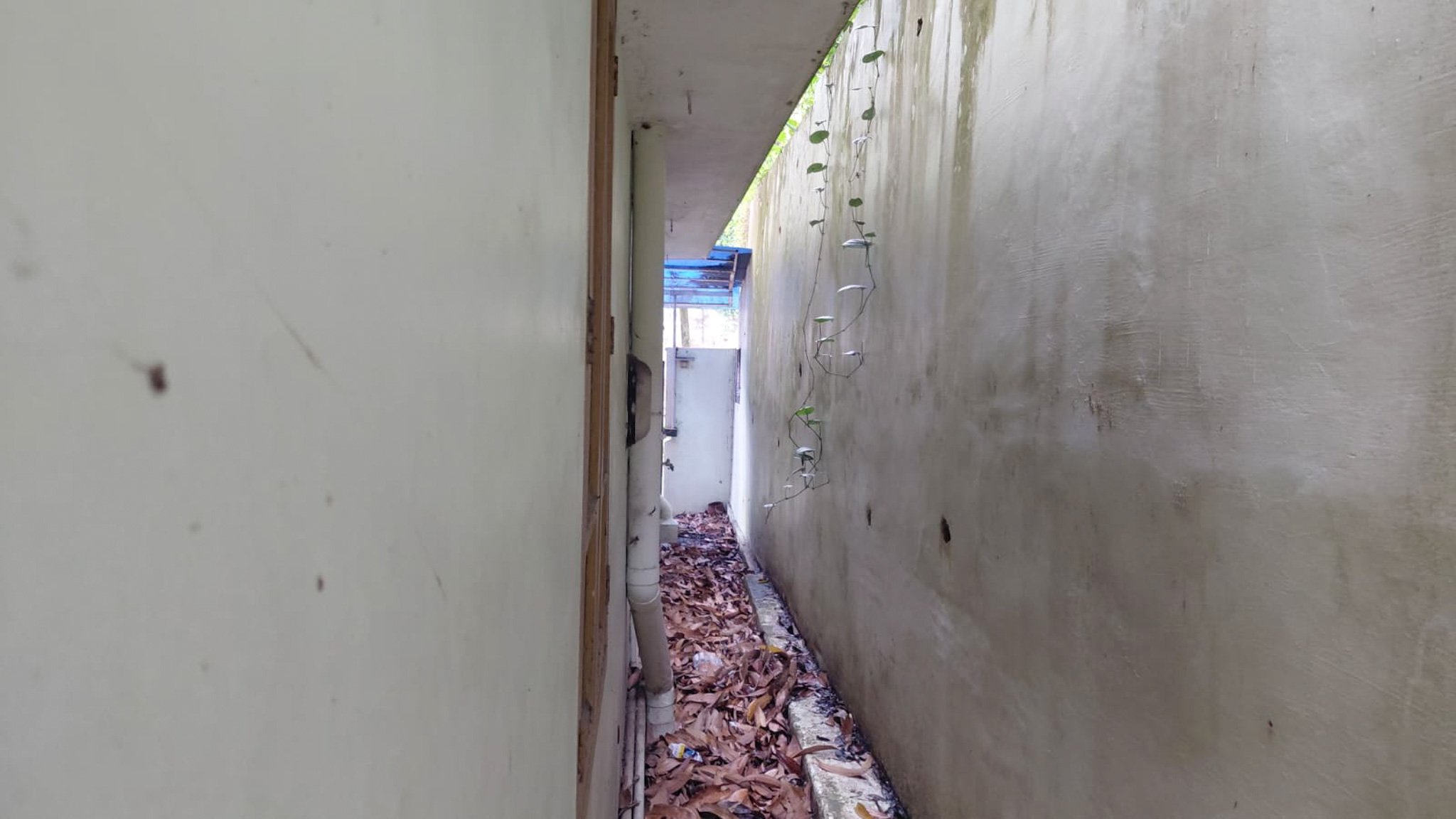 3 BHK Individual House for sale in PALLICHAL, 150m from Pallichal Thodu Jn, Pravachambalam Pallichal — photo 17