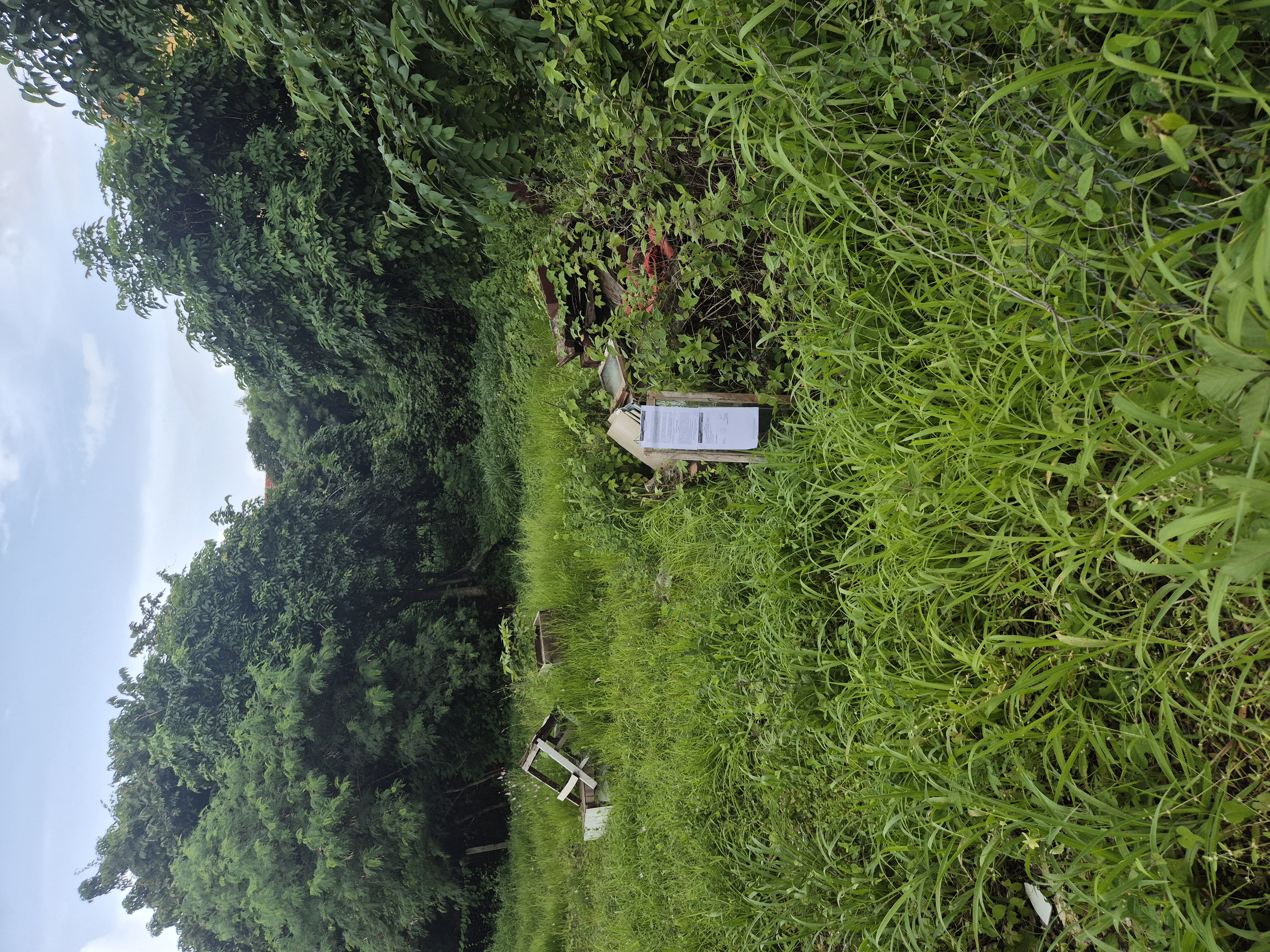 451 square meter Plot for sale in Sancoale — photo 2