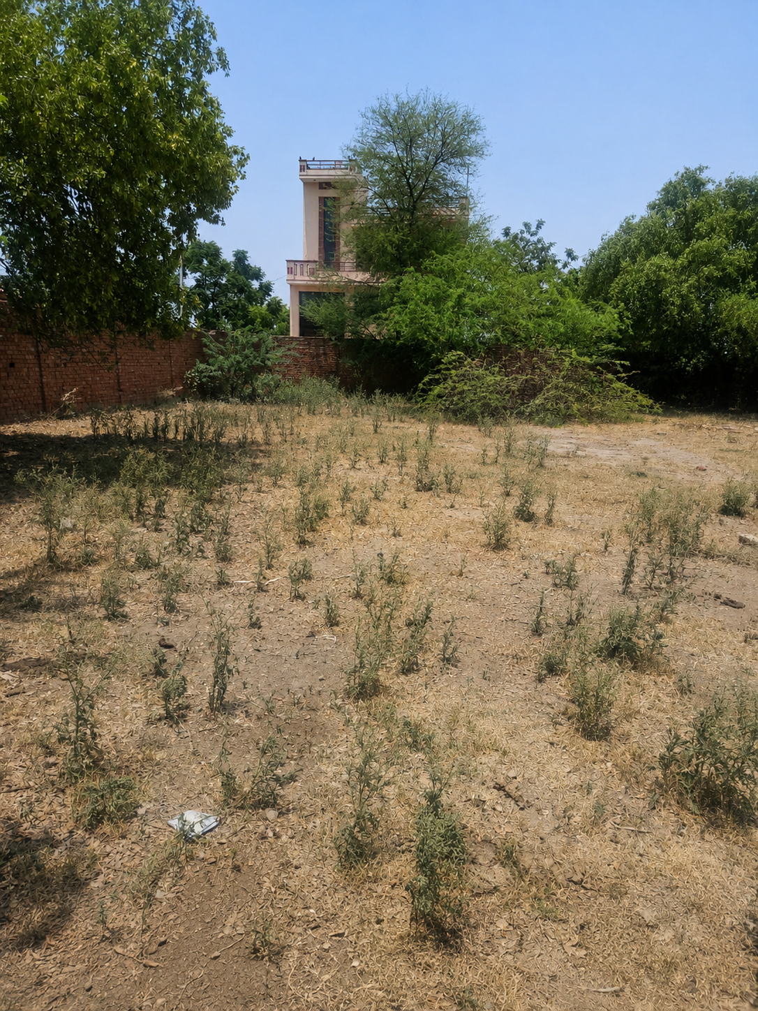 Vacant plot for sale in BATHINDA Bathinda — photo 2