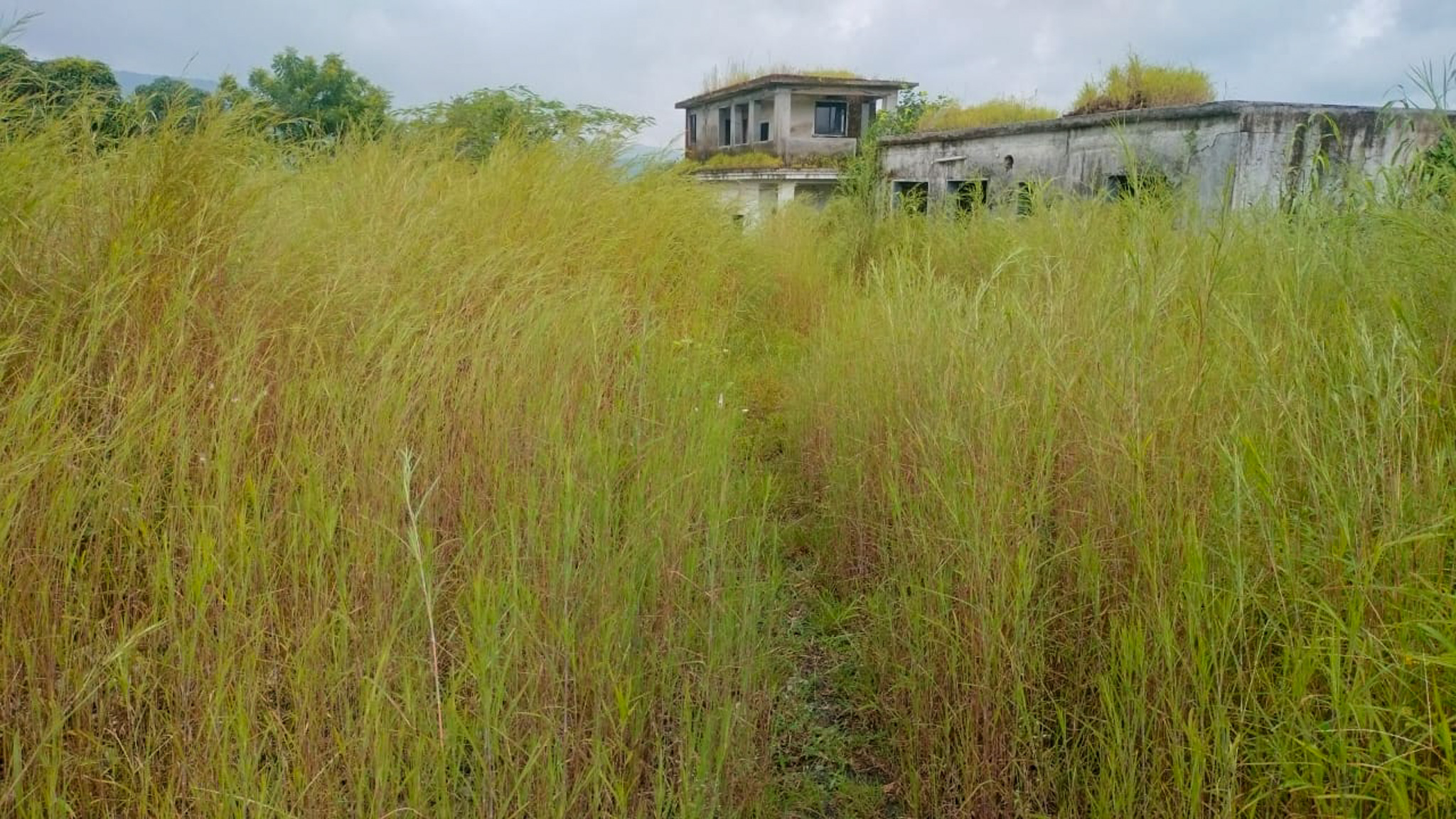 Industrial Plot with Factory Building for sale in Biloshi Vada — photo 4