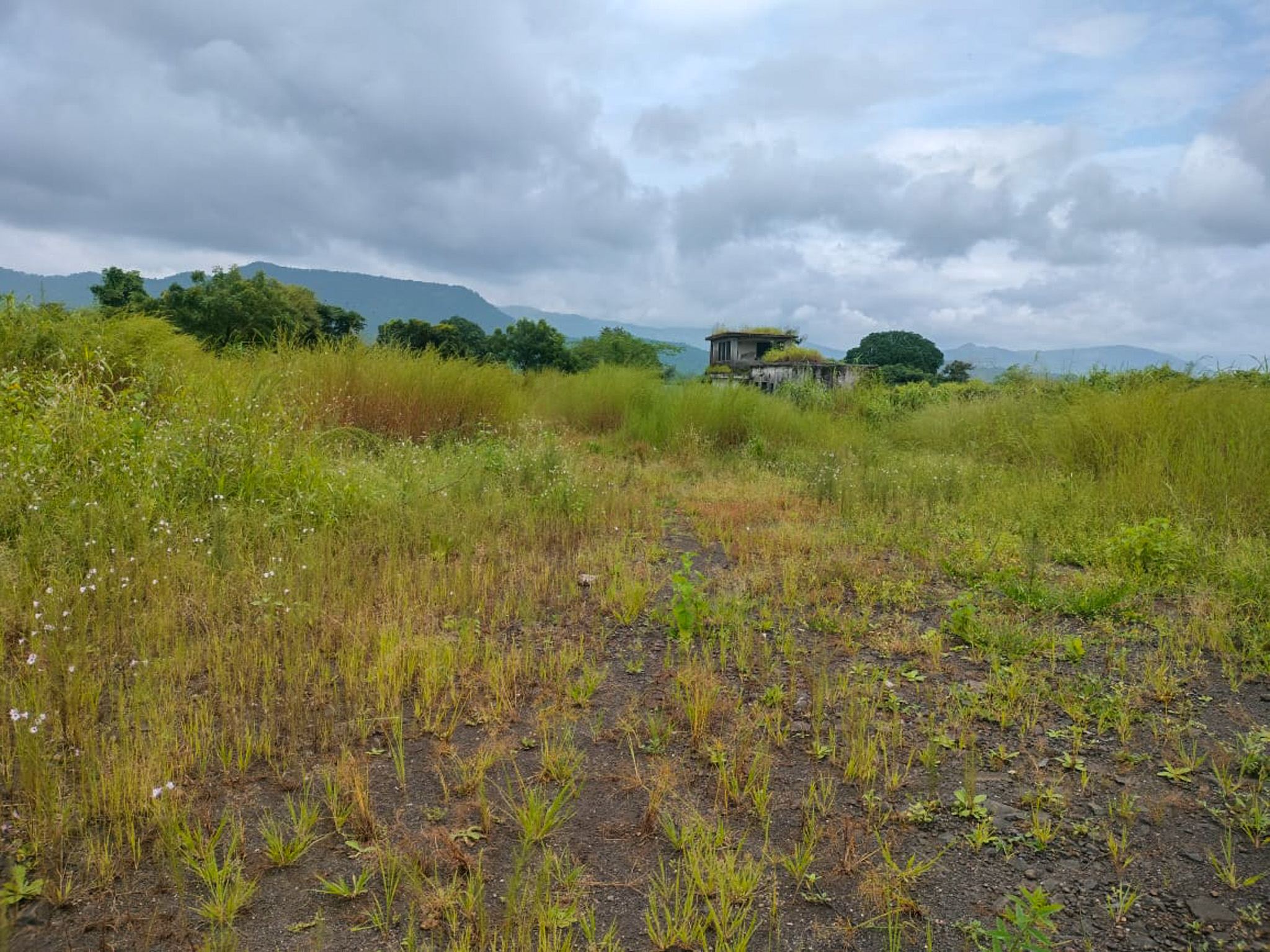 Industrial Plot with Factory Building for sale in Biloshi Vada — photo 16