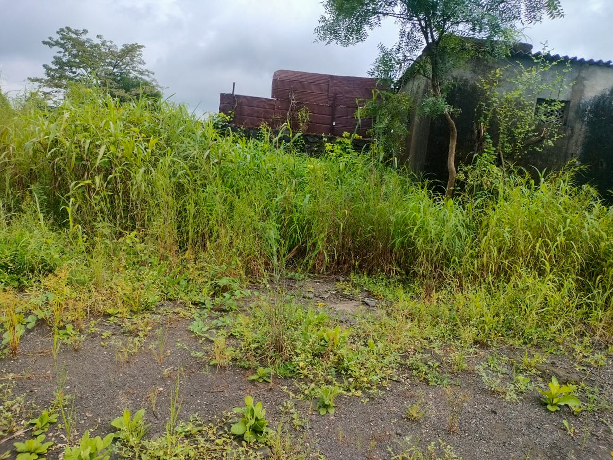 Industrial Plot with Factory Building for sale in Biloshi Vada — photo 20