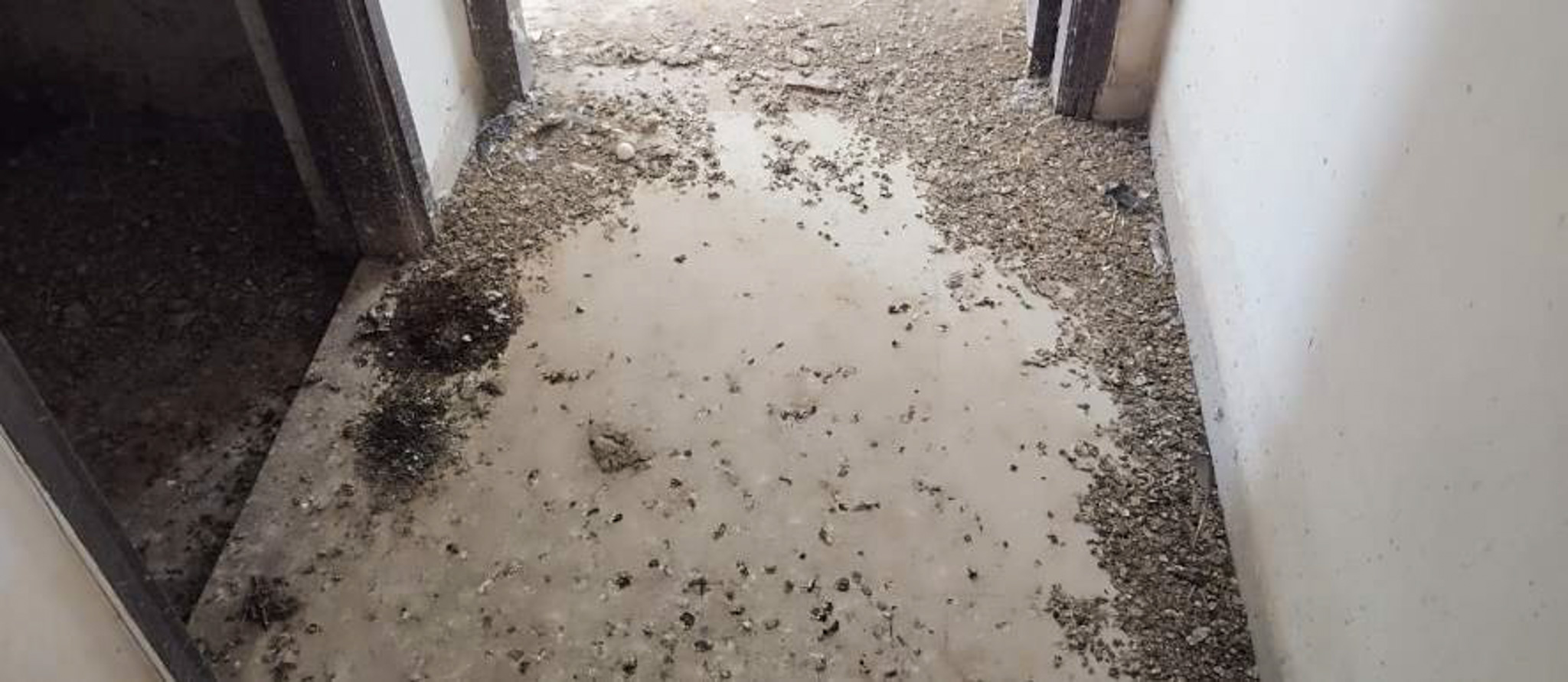Flat for sale in Gandhinagar. — photo 2