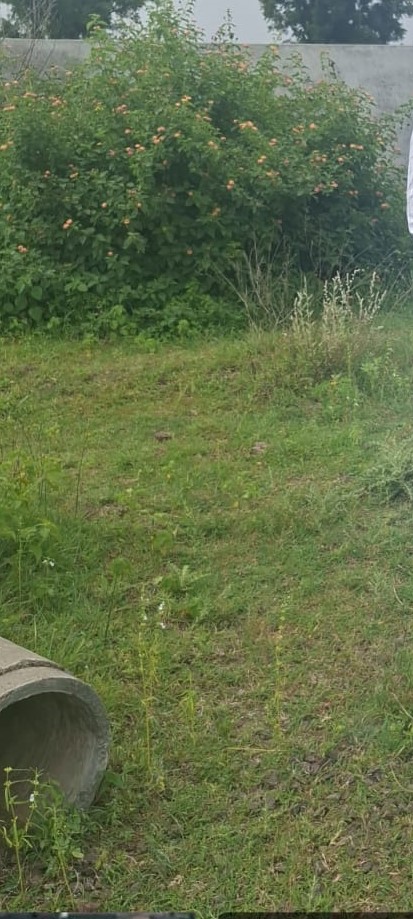 Plot for sale in Pune