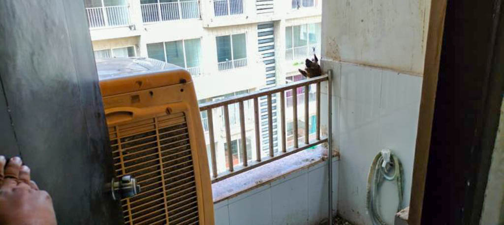 Flat for sale in Gandhinagar Gandhinagar. — photo 11