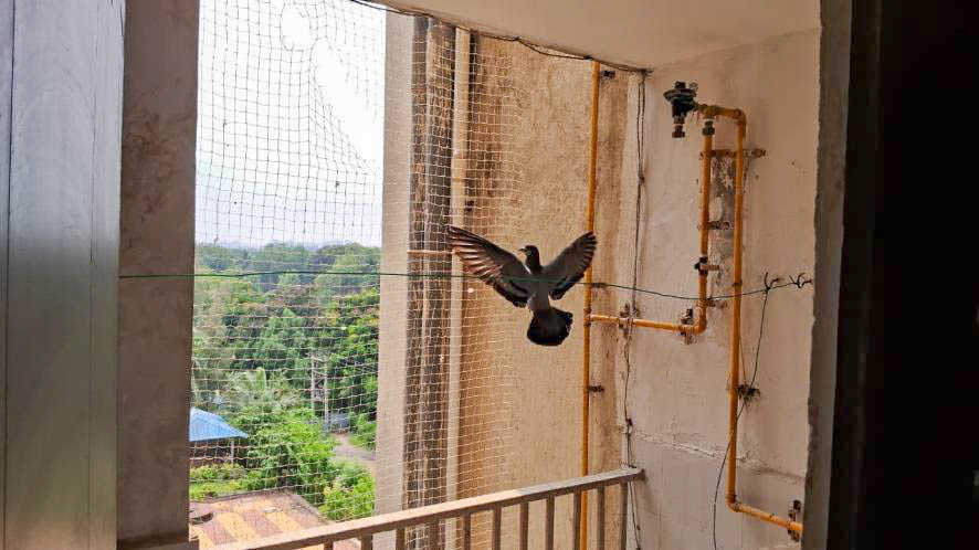 Flat for sale in Gandhinagar Gandhinagar. — photo 10