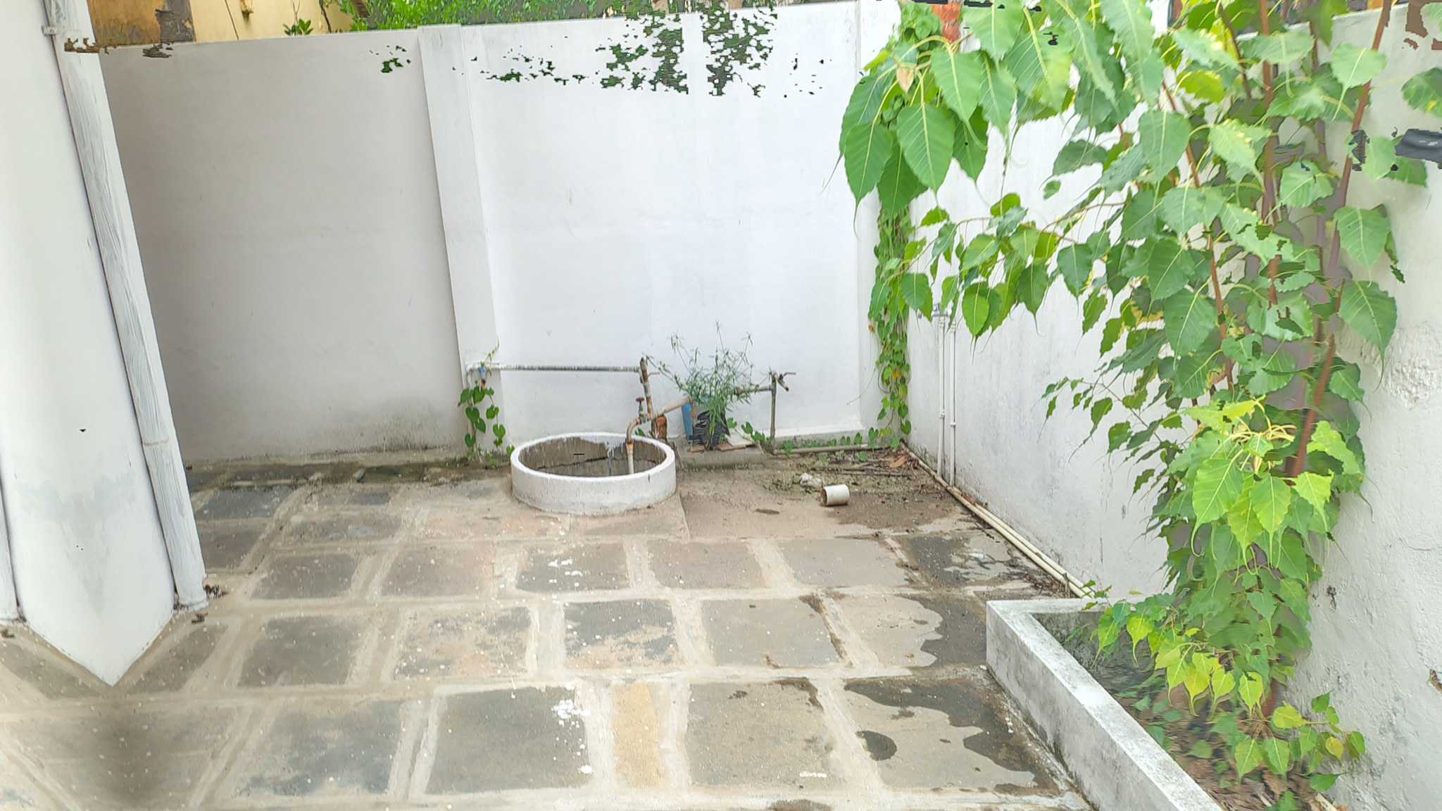 4 BHK Individual House for sale in NA, Bhavani puram vijayawada Vijayawada — photo 9