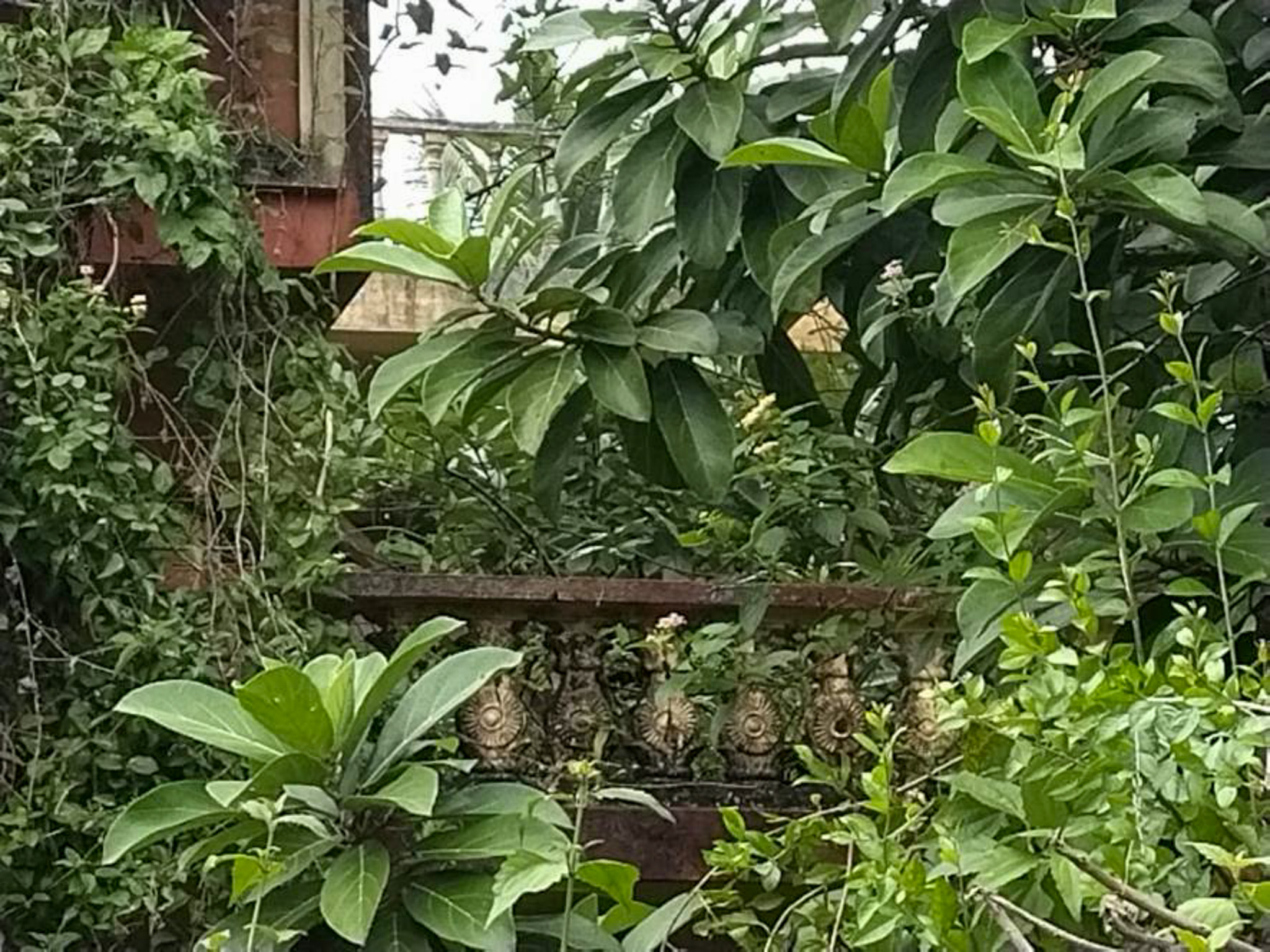 Individual House for sale in Nuzvid — photo 3
