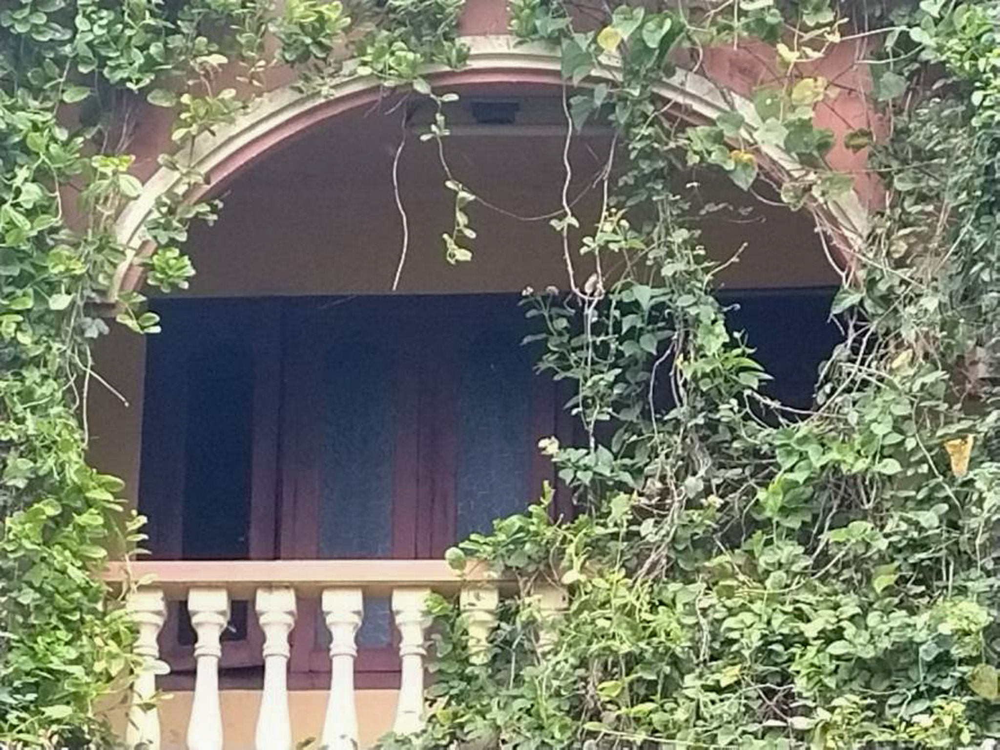 Individual House for sale in Nuzvid — photo 5