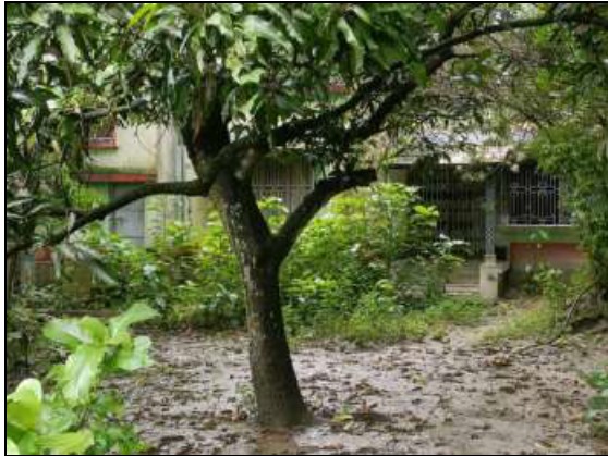 704 square feet Individual House for sale in HAROA Minakhan — photo 2