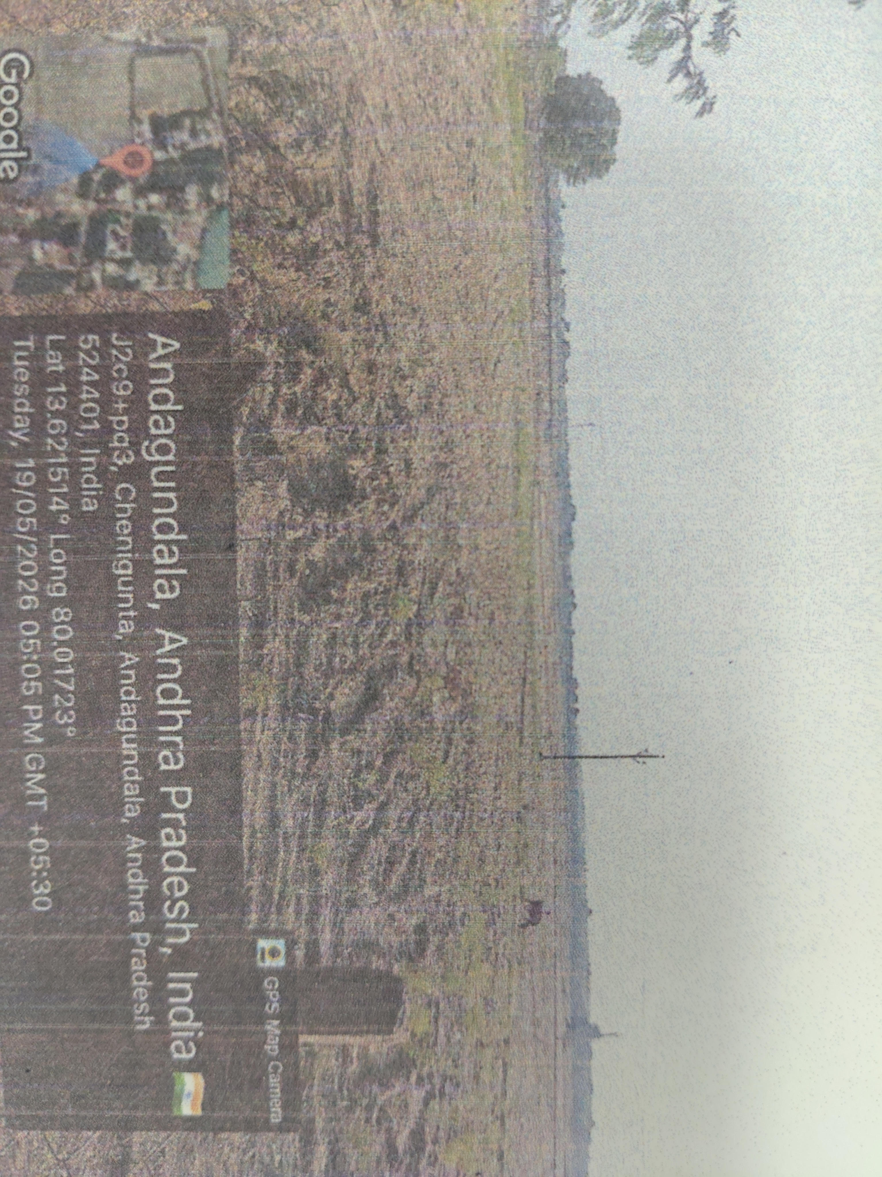 Plot for sale in Tada — photo 1