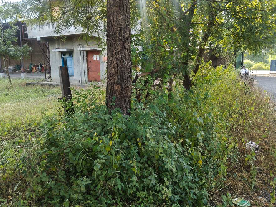 Shed with Plant and Machinery for sale in Akola — photo 9