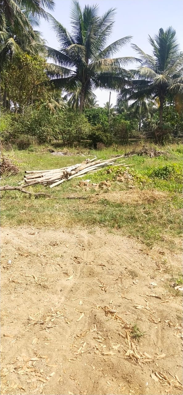 Individual House for sale in Baleswar — photo 1