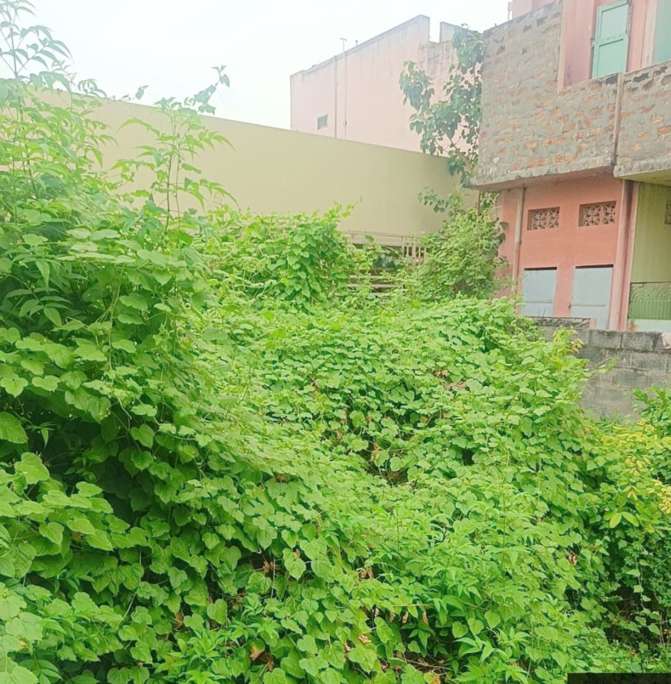 Plot for sale in SATTENAPALLE Sattenapalle — photo 1