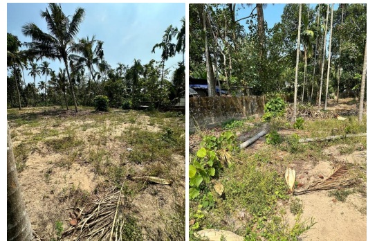 VACCANT LAND for sale in Adinad