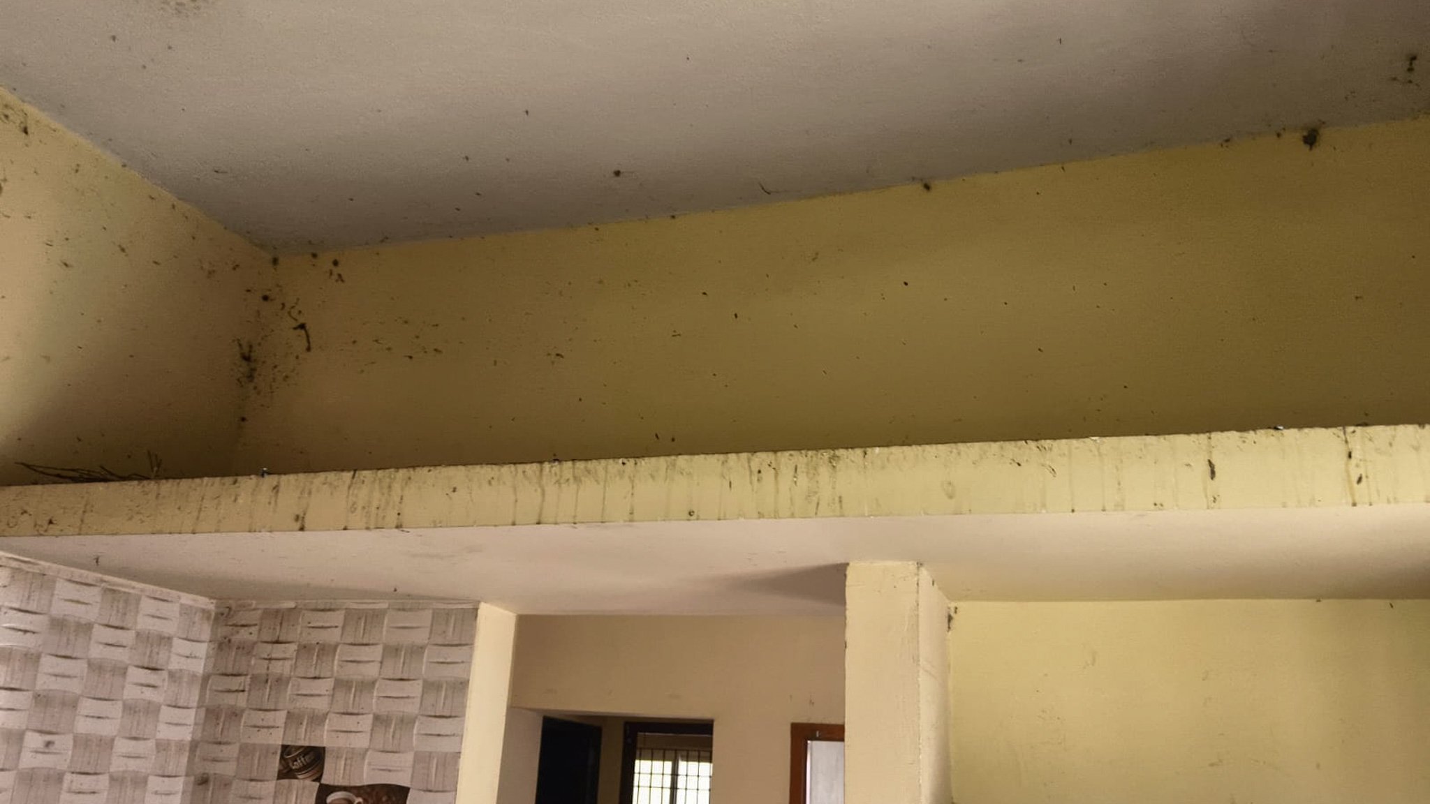 2 BHK Flat for sale in FLAT, Gerugambakkam Chennai — photo 10