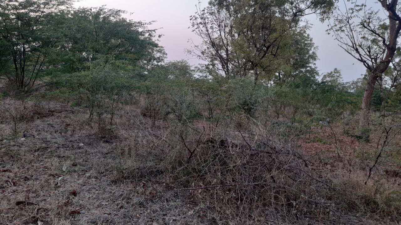 1693 square meter Plot for sale in Banana Kingdom, Dakor — photo 3