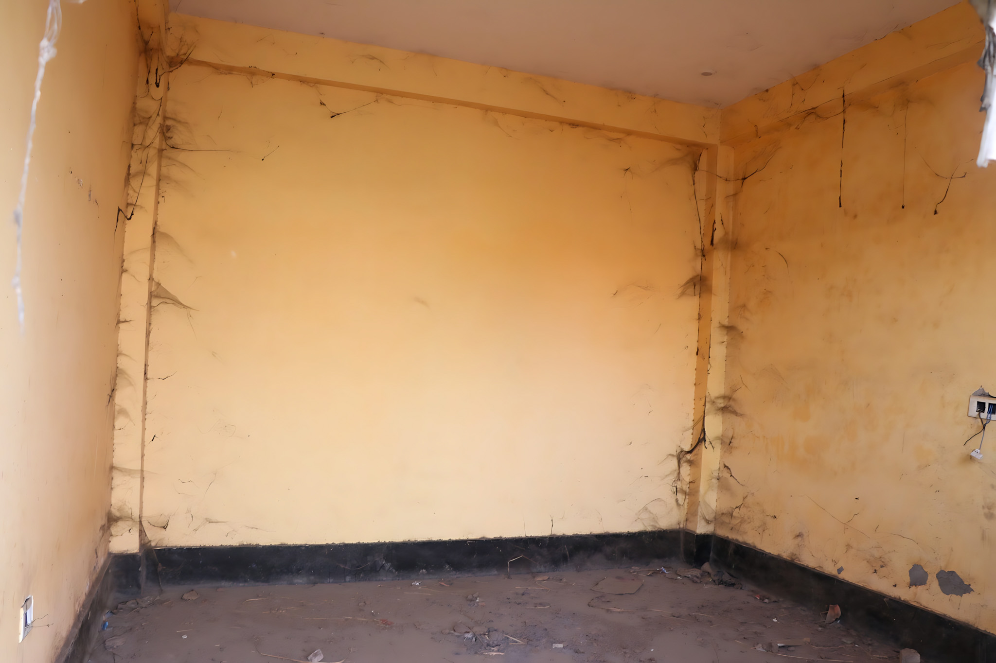 Individual House for sale in Atrauli — photo 6