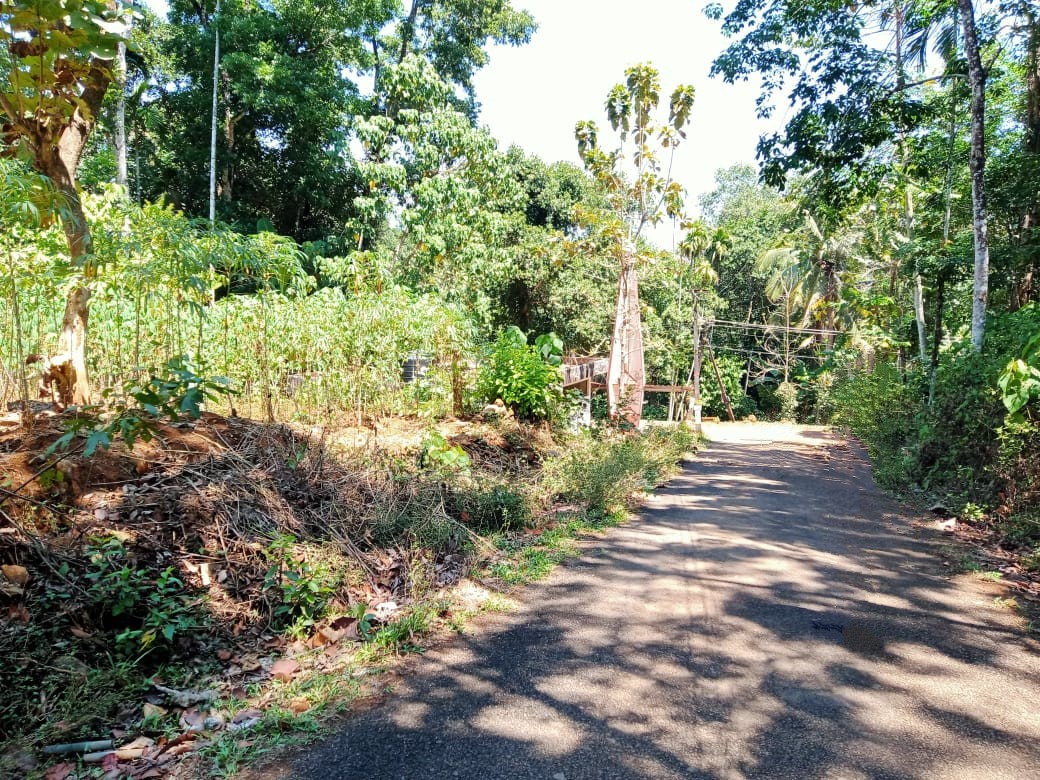 Plot for sale in Kottayam — photo 1