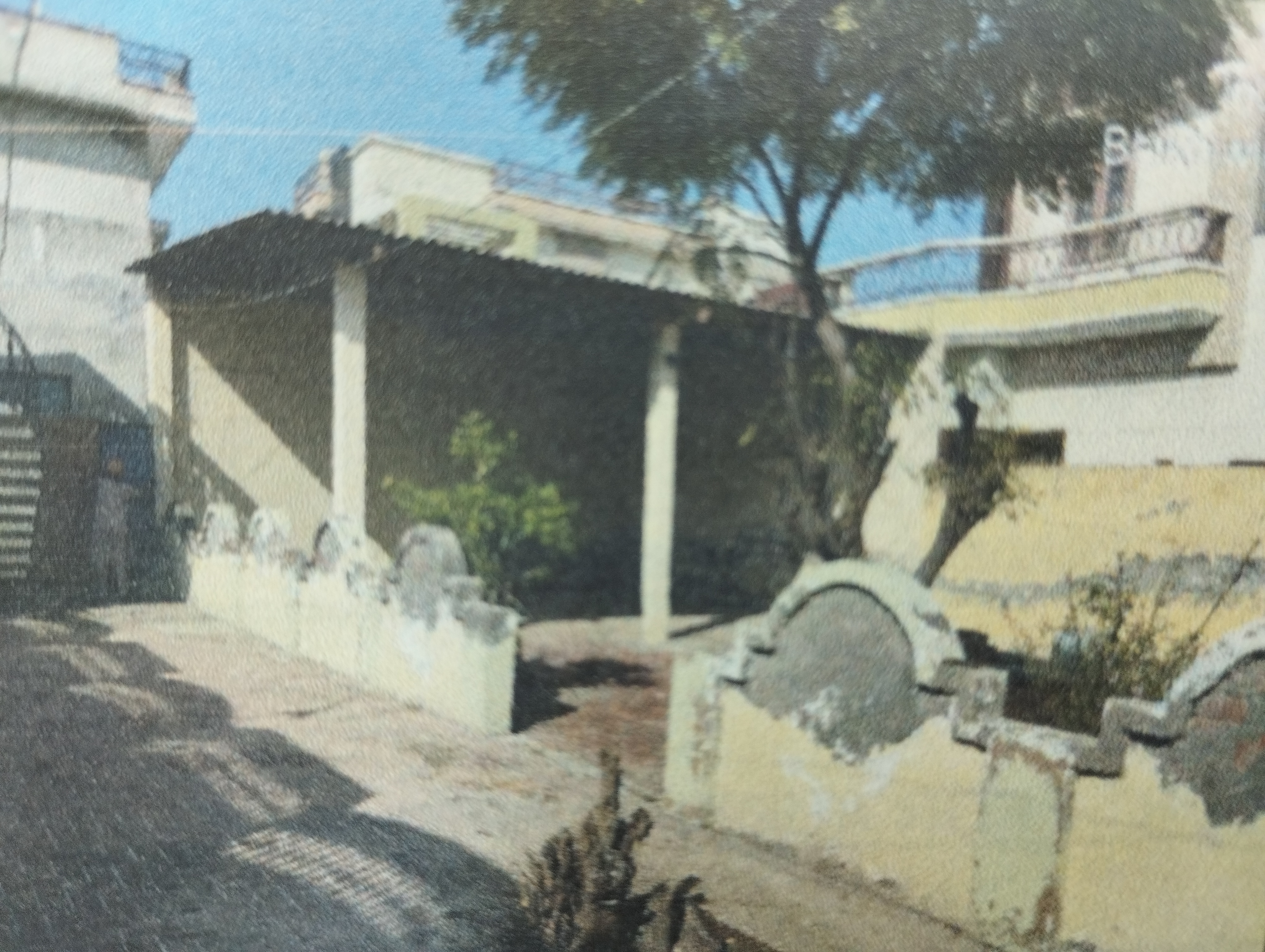 Open Plot for sale in Patti