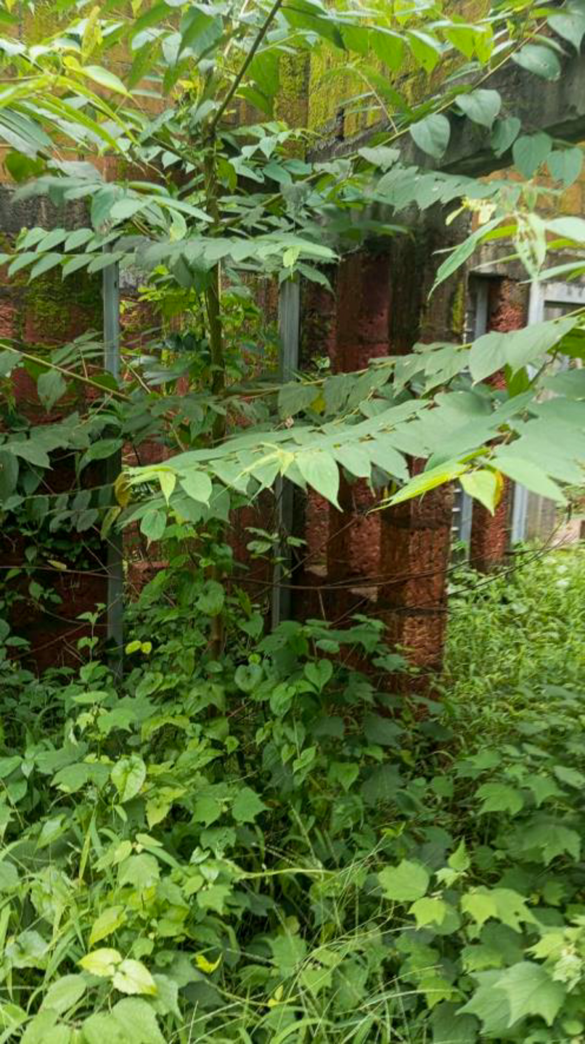 4 BHK Individual House for sale in Kannamangalam — photo 8