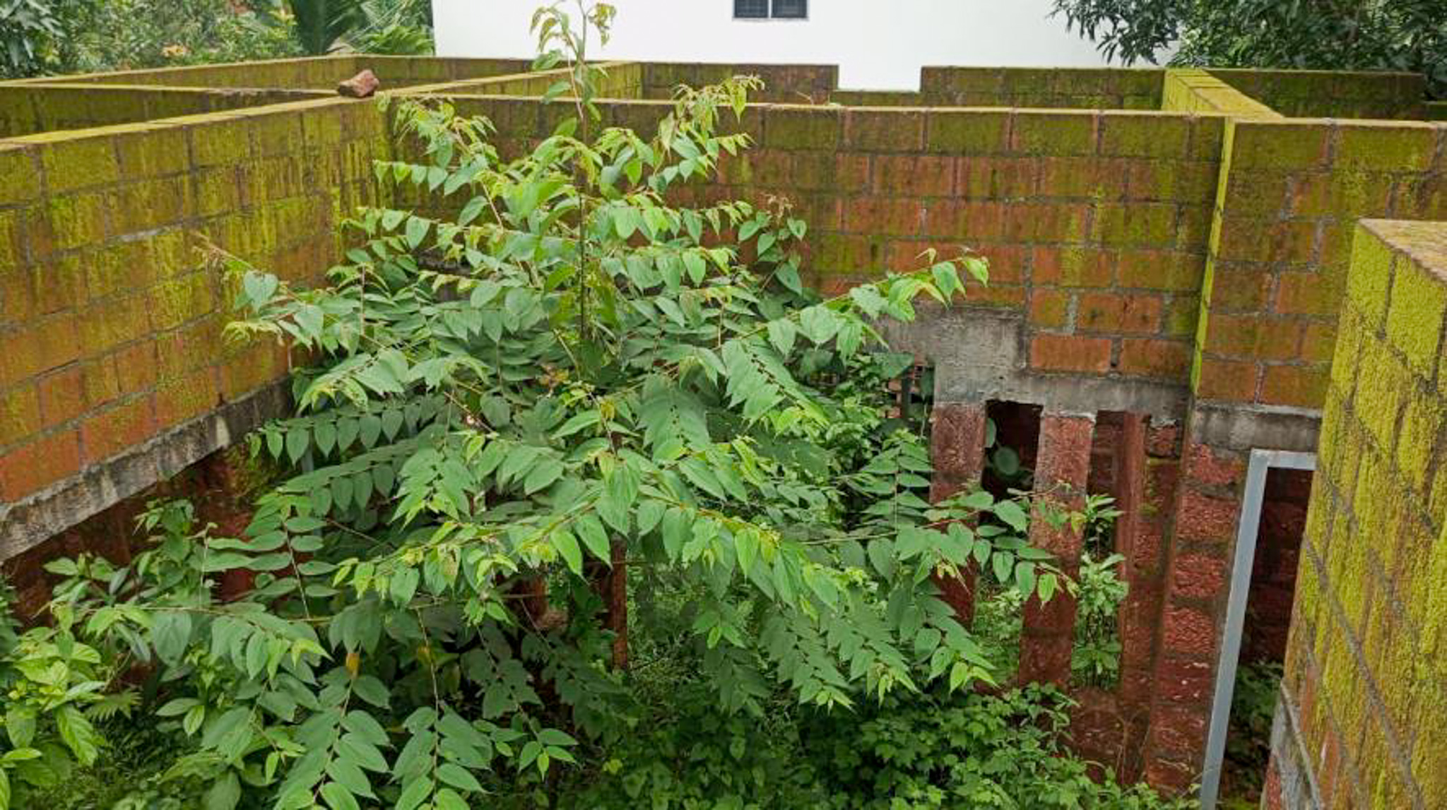 4 BHK Individual House for sale in Kannamangalam — photo 3