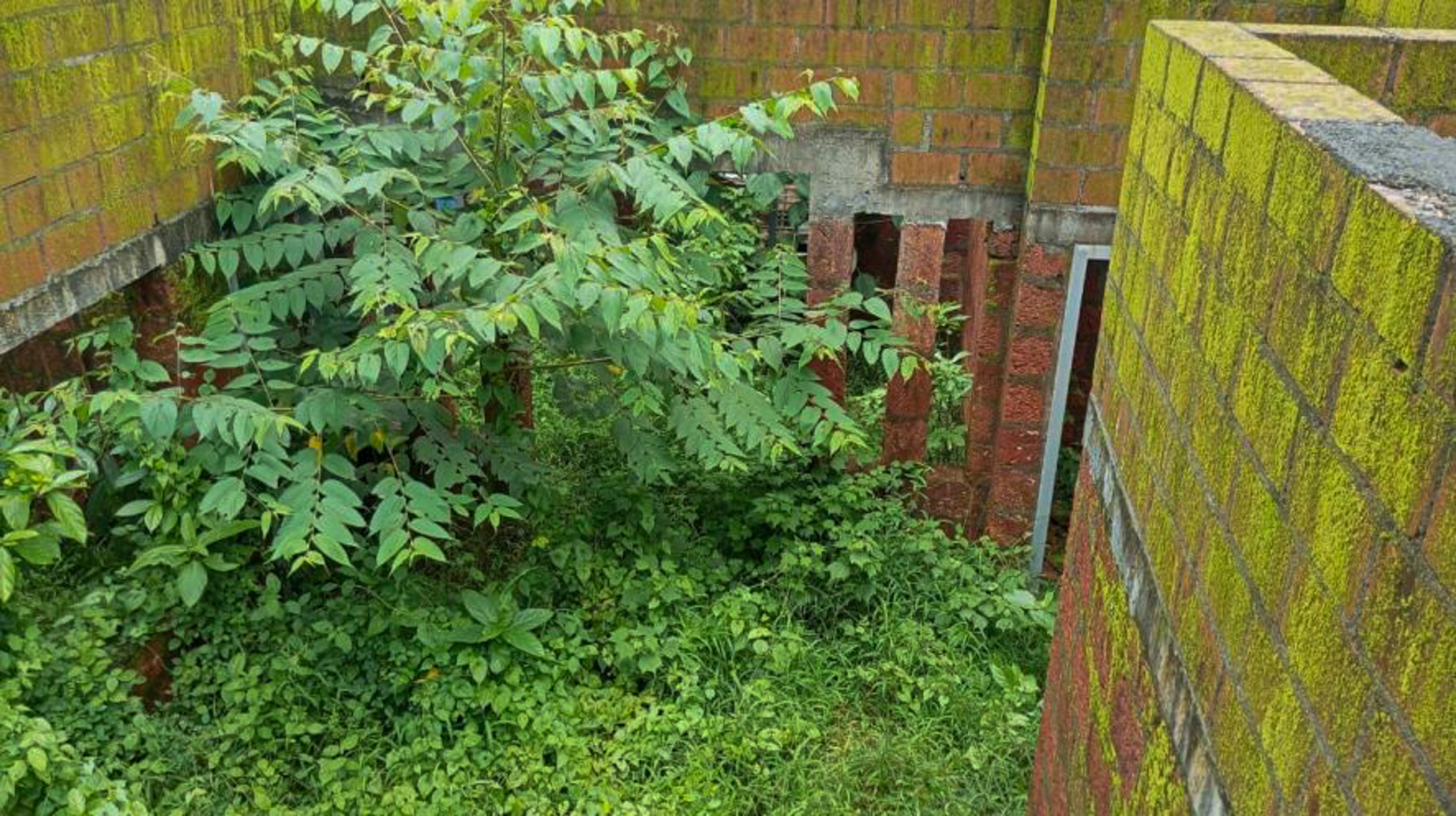 4 BHK Individual House for sale in Kannamangalam — photo 14