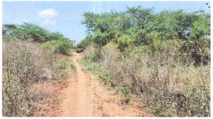 VACANT LAND for sale in Namakkal