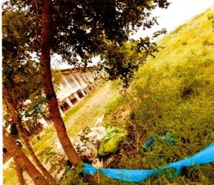 6000 square feet Plot for sale in Mauza- Barauli, Pargana – Dangasi, Thana No. - 422, Tauzi No. - 2087, District – Gopalganj Barauli — photo 4