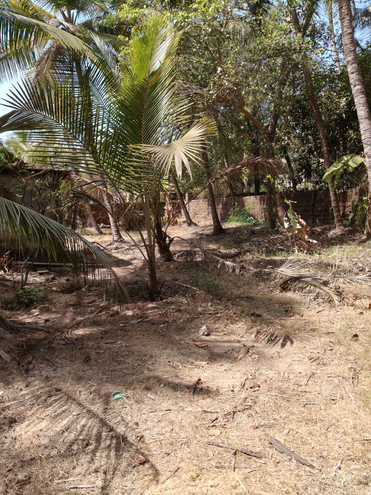 Plot for sale in Udupi