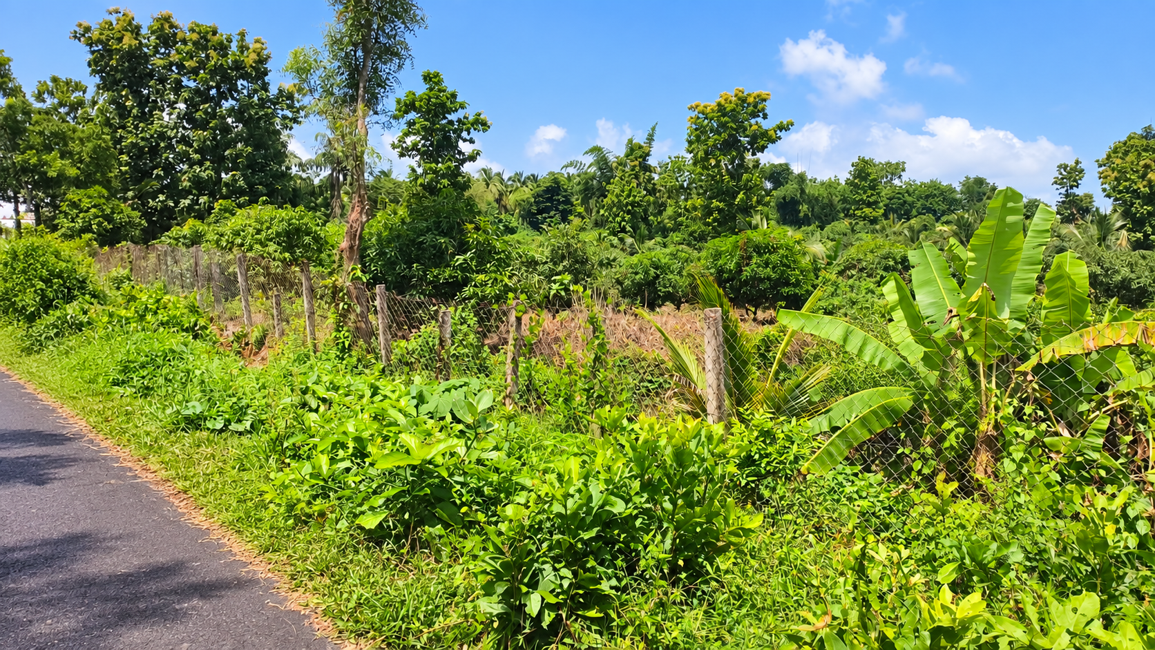 Plot for sale in MANNUR