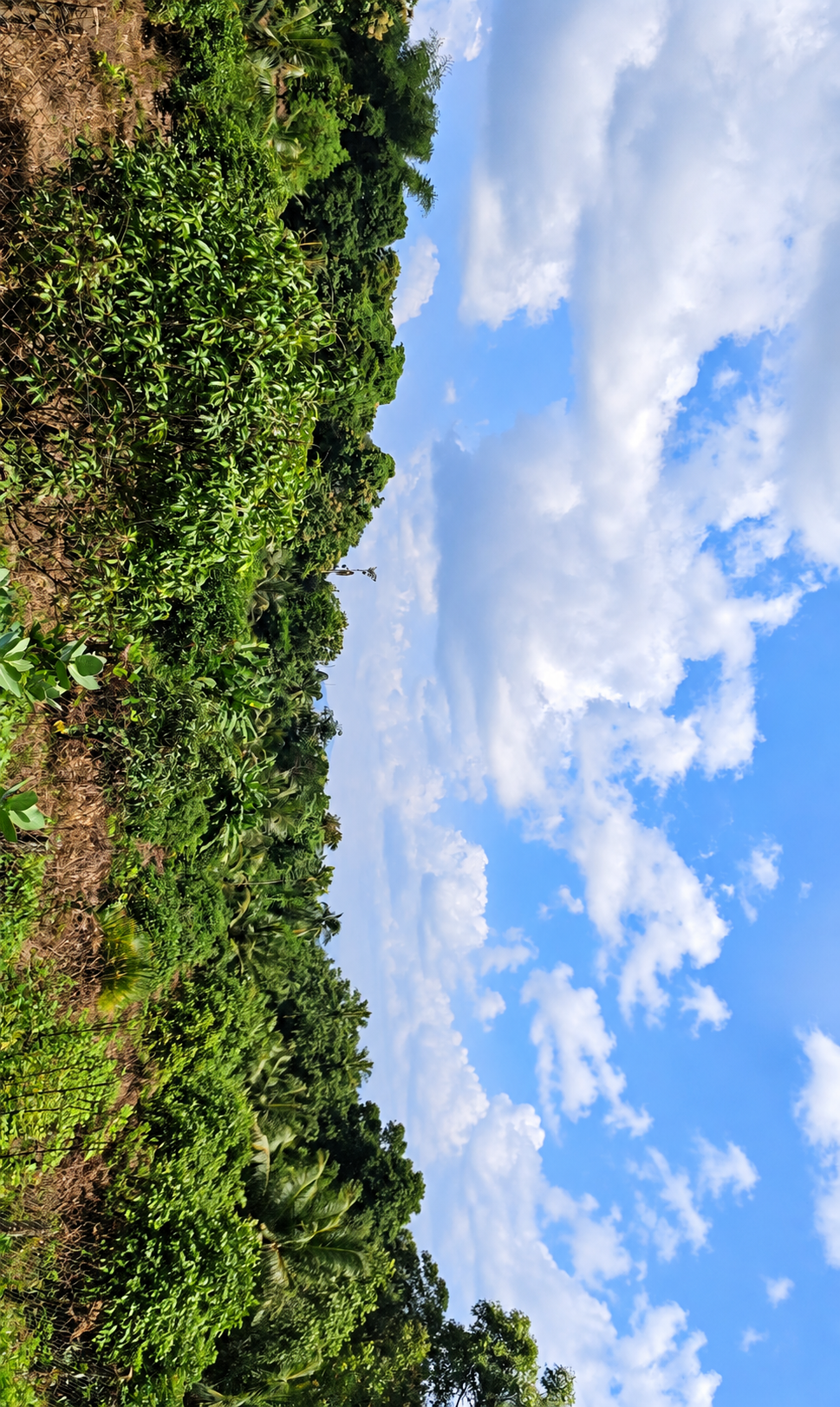 Plot for sale in MANNUR — photo 2
