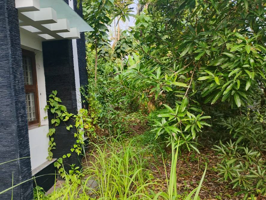 Individual House for sale in Chavakkad — photo 13