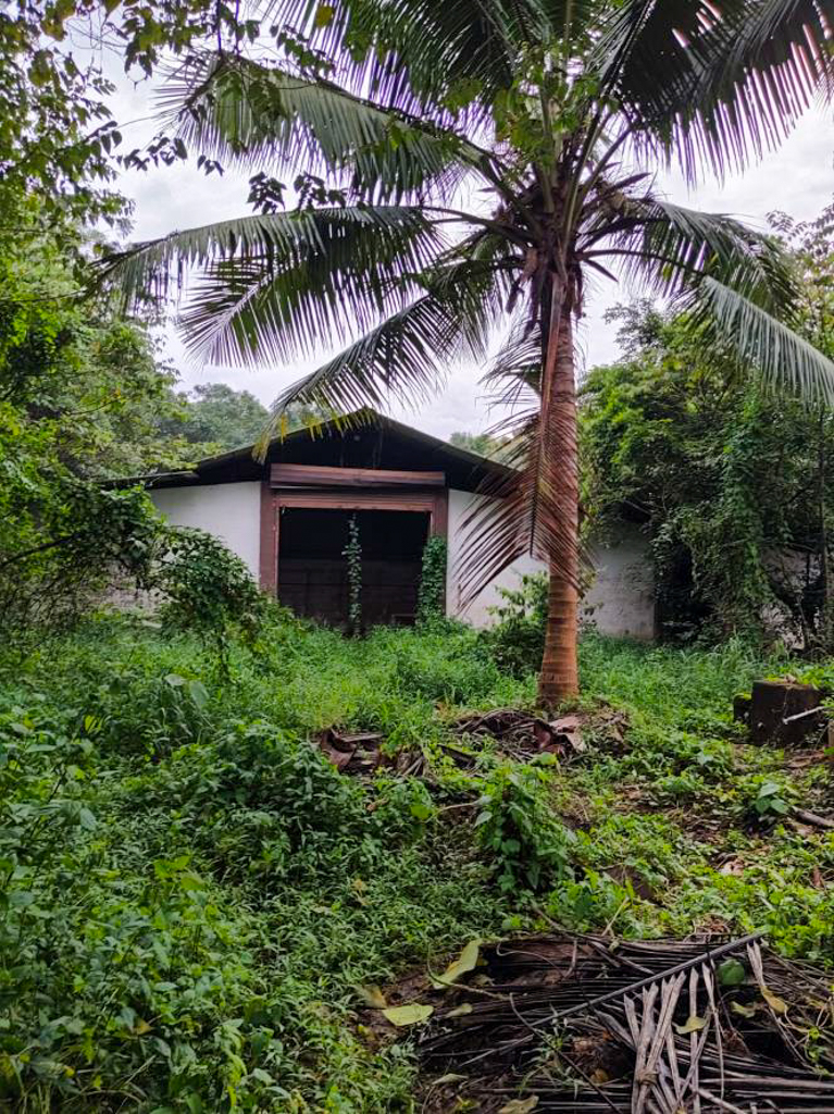 A Double Storied RCC Building and a Single storied AC Sheet Shed for sale in Nilambur Manjeri — photo 10