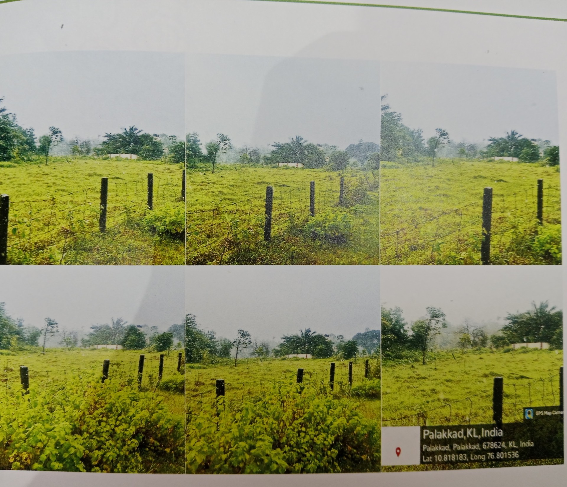 Plot for sale in PUDUSSERY Pudussery