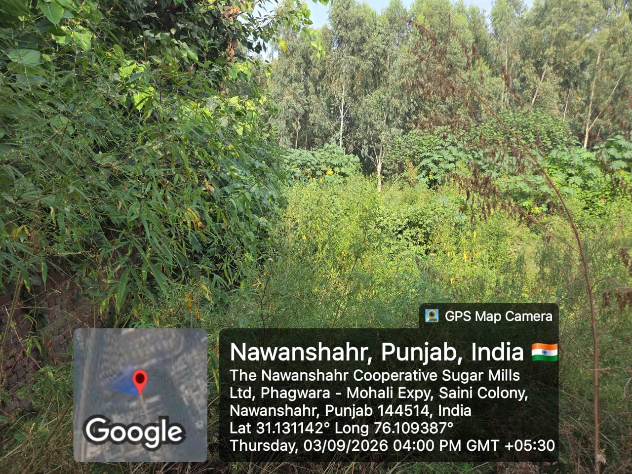 1210 square yard Plot for sale in Nawanshahr — photo 3