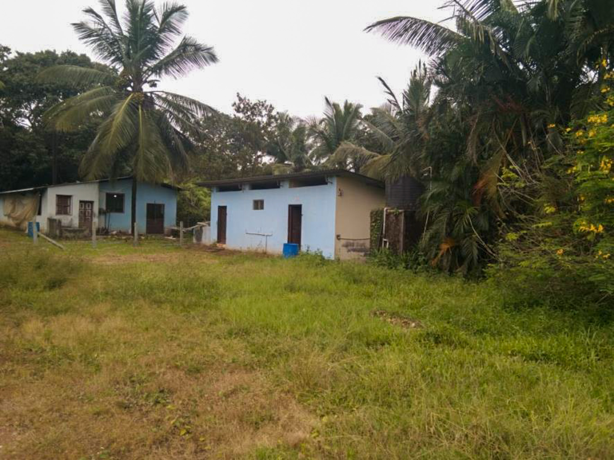 Industrial Plot with Factory Building for sale in MAVINAKOPPA Koteshwar — photo 7