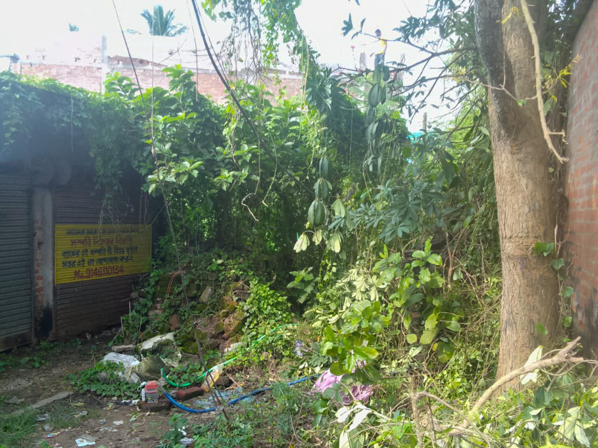 Shops for sale in Champadanga/Tarkeshwar — photo 6