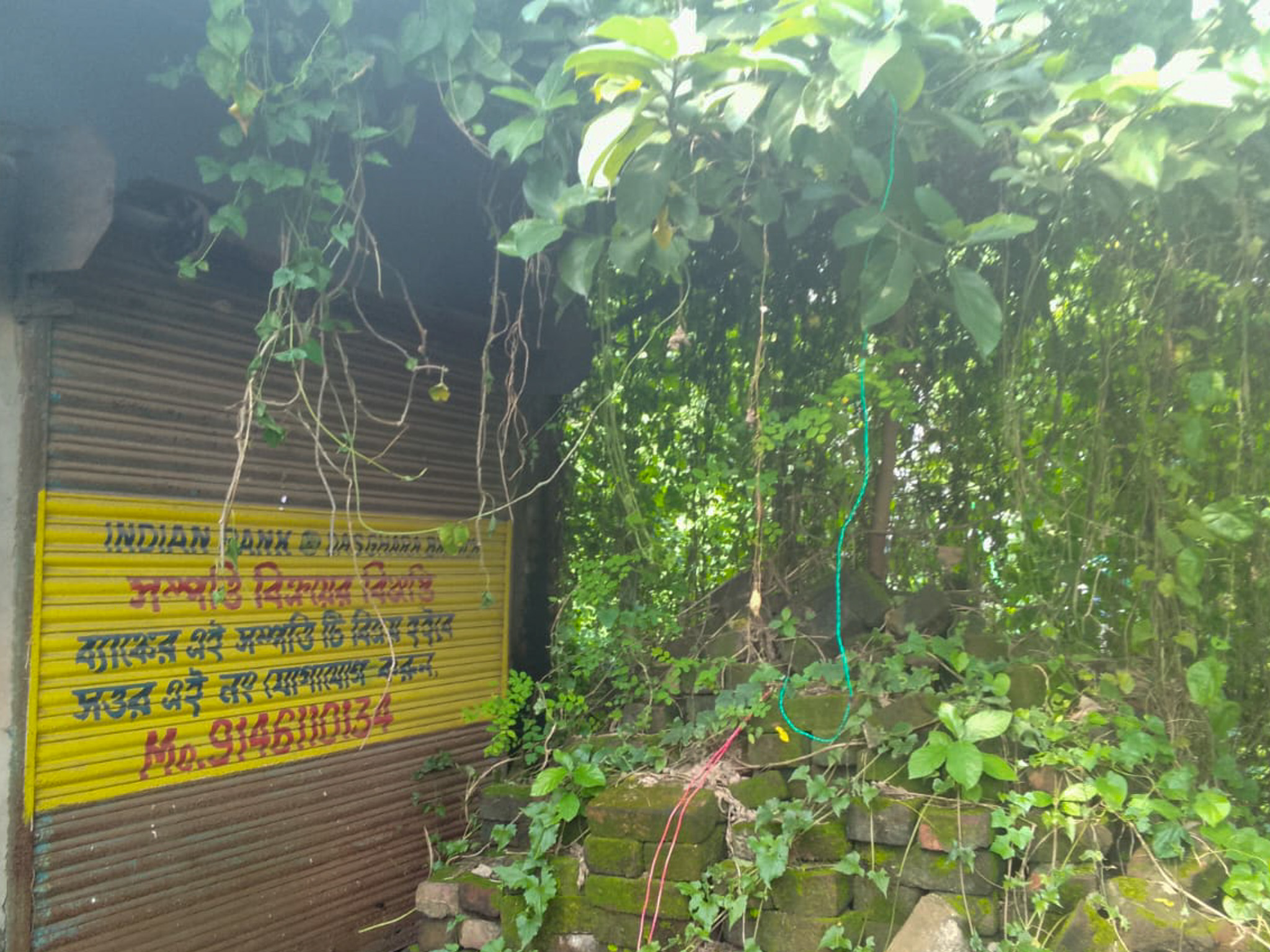 Shops for sale in Champadanga/Tarkeshwar — photo 3