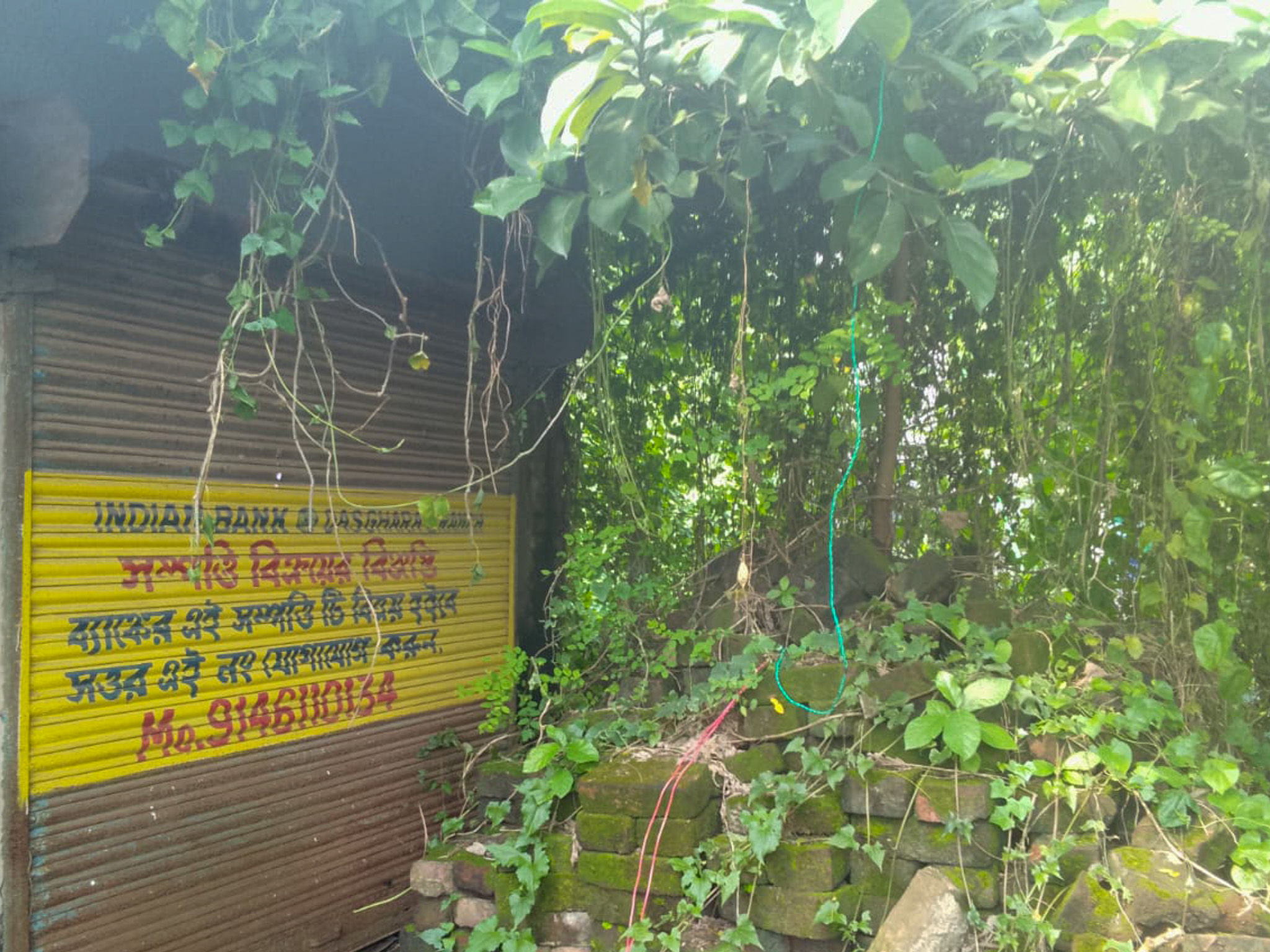 Shops for sale in Champadanga/Tarkeshwar — photo 4