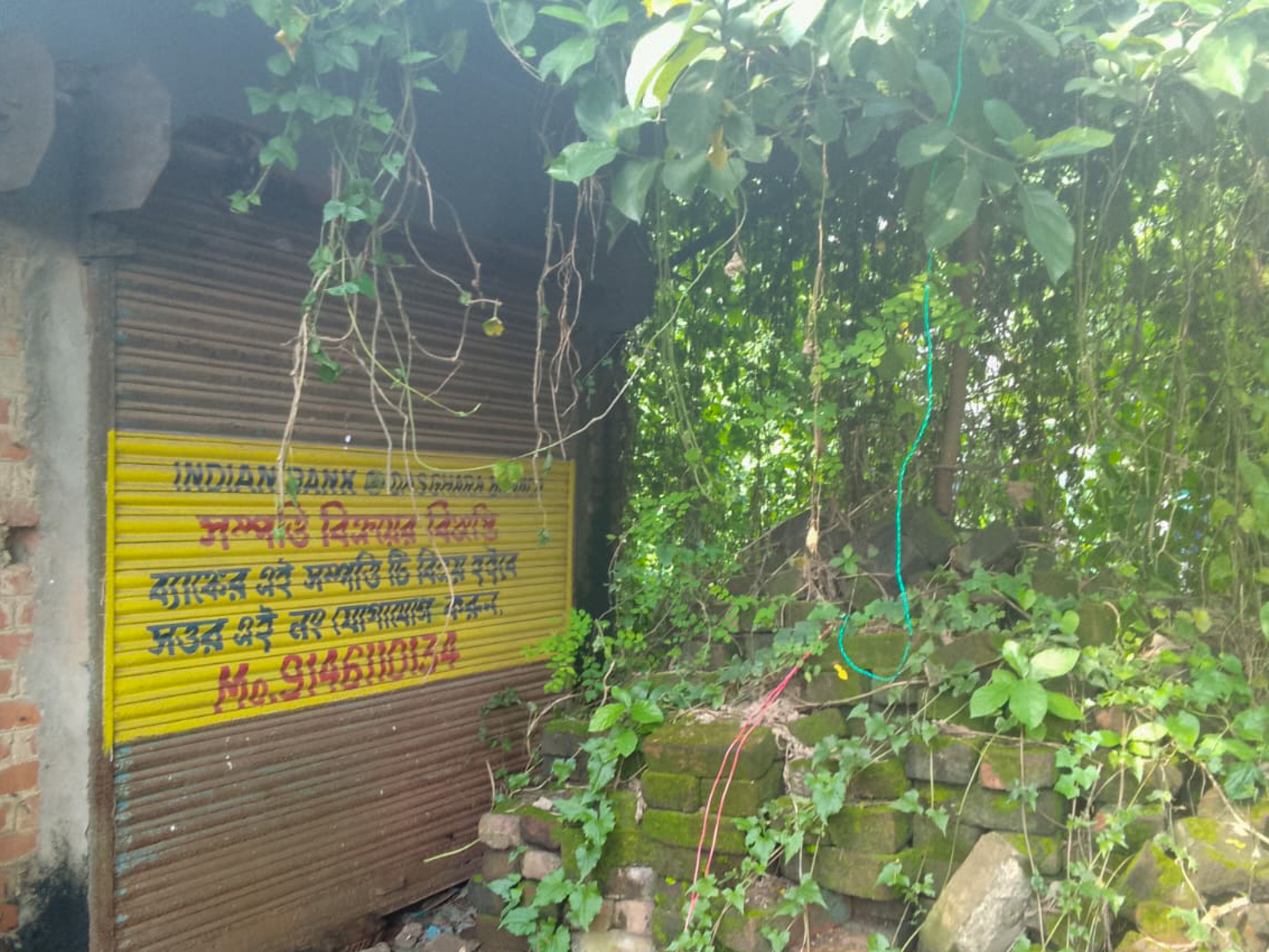 Shops for sale in Champadanga/Tarkeshwar — photo 5