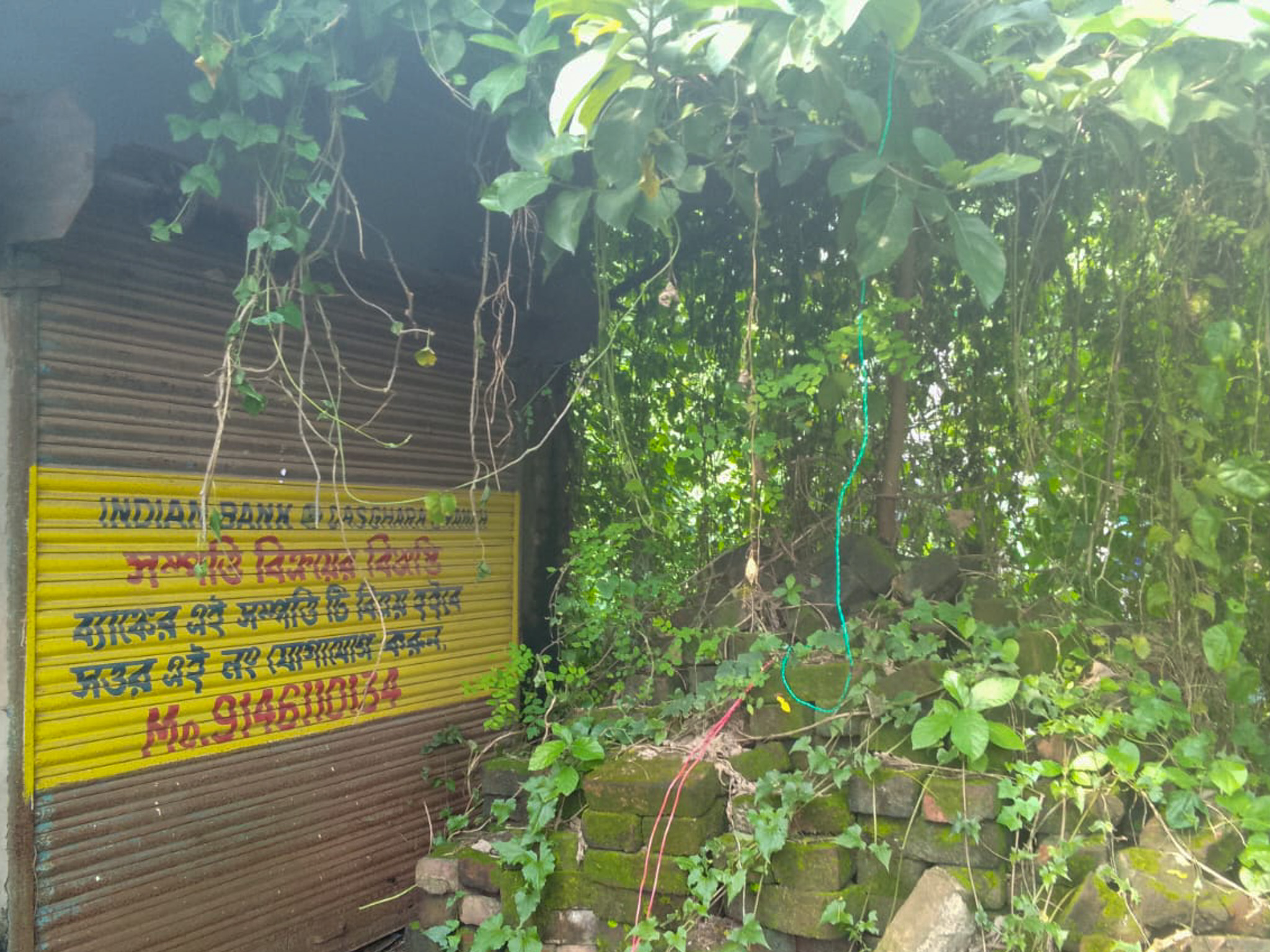 Shops for sale in Champadanga/Tarkeshwar — photo 7