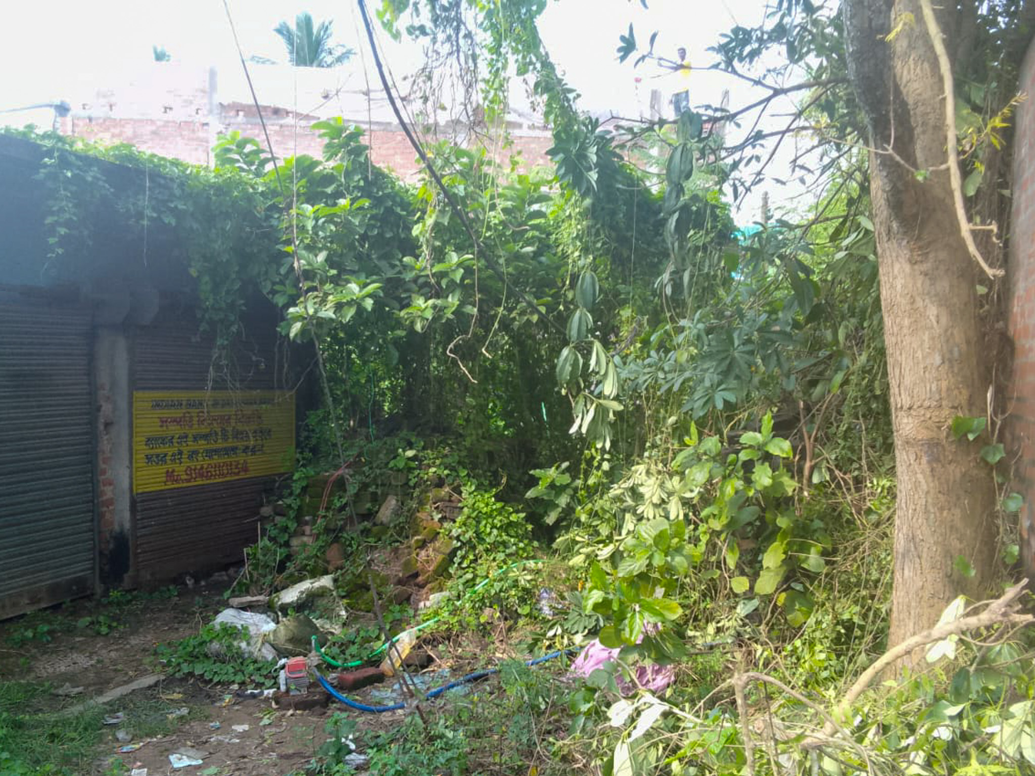 Shops for sale in Champadanga/Tarkeshwar — photo 8