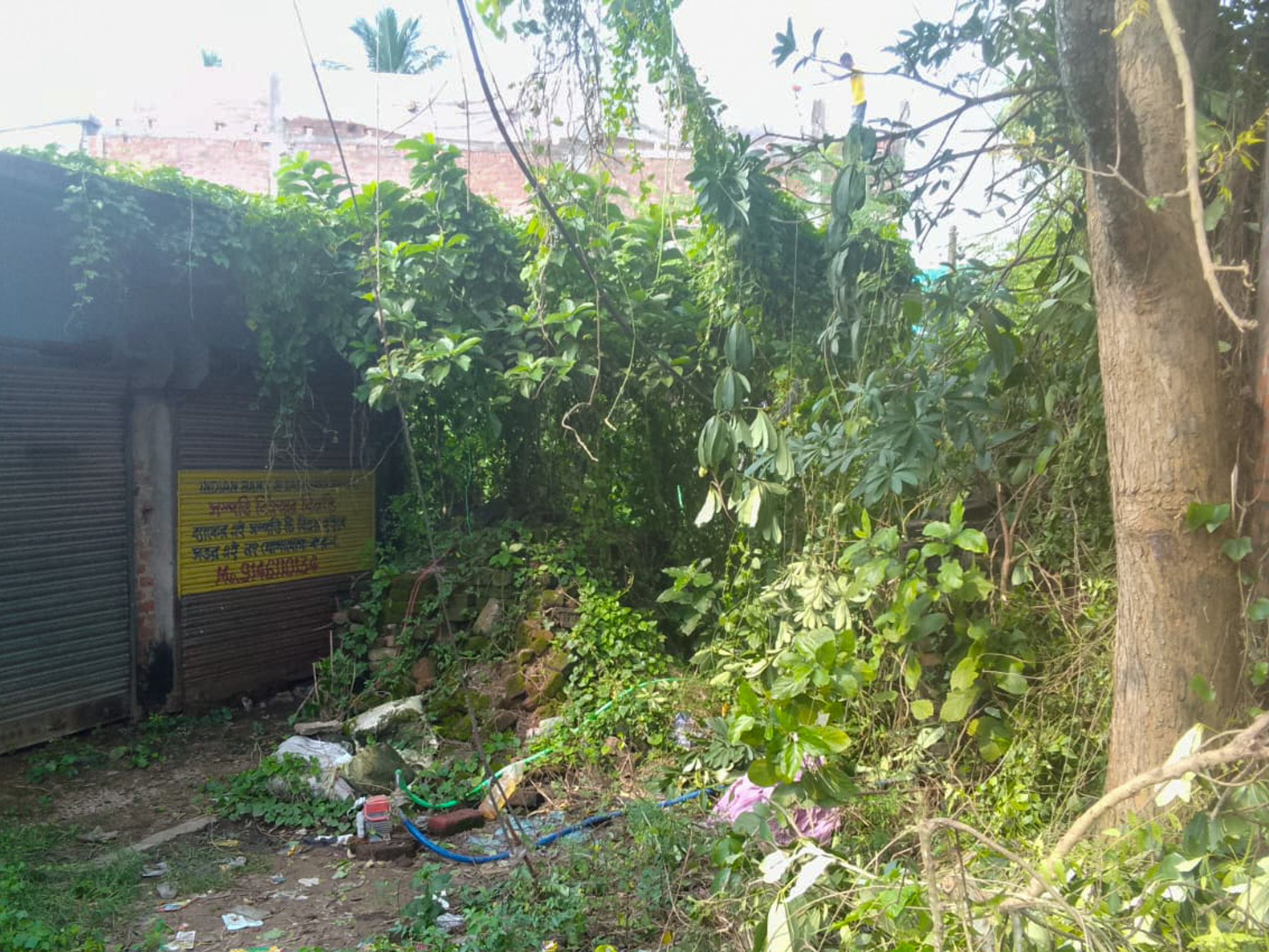 Shops for sale in Champadanga/Tarkeshwar — photo 9