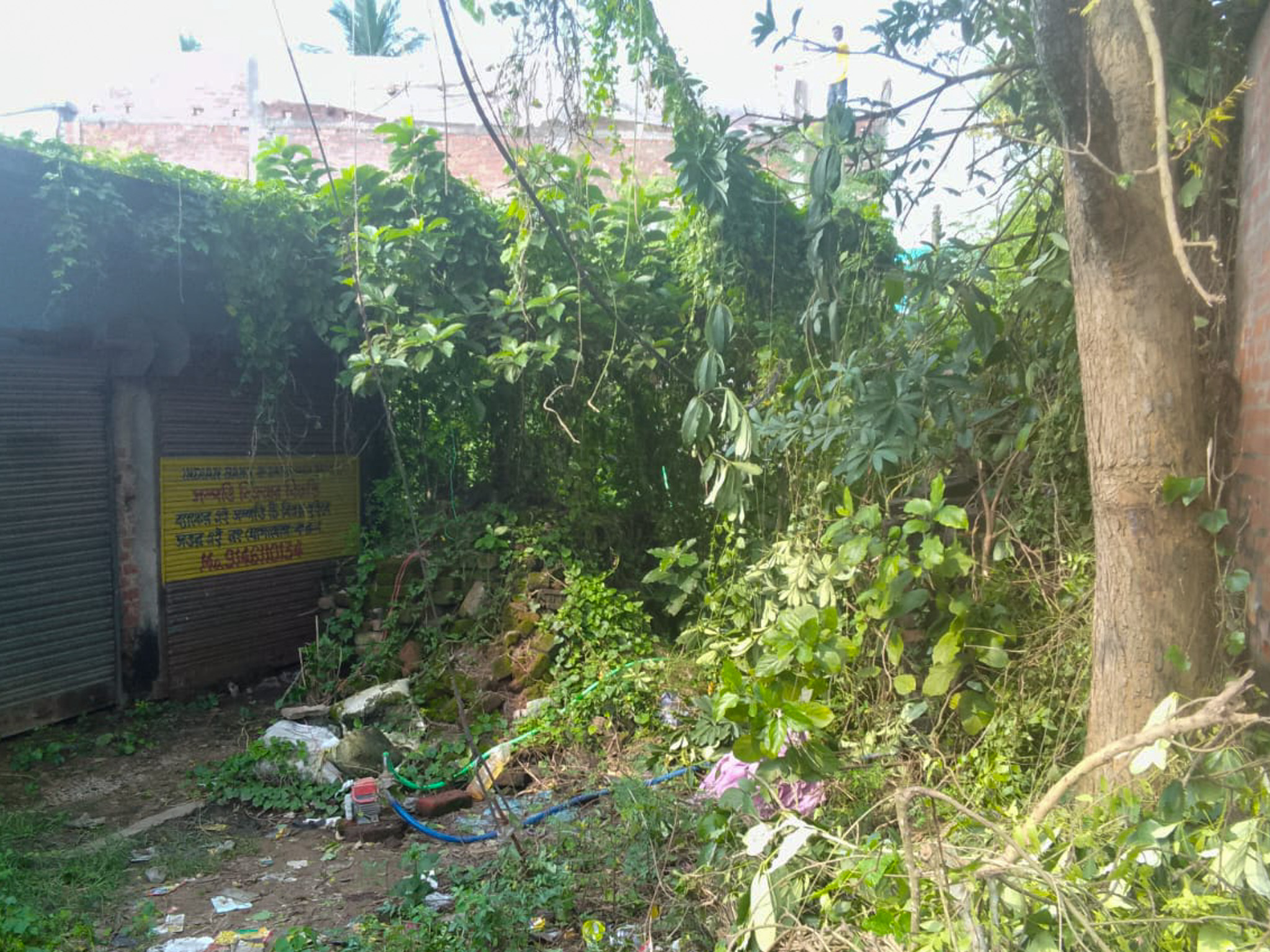 Shops for sale in Champadanga/Tarkeshwar — photo 11