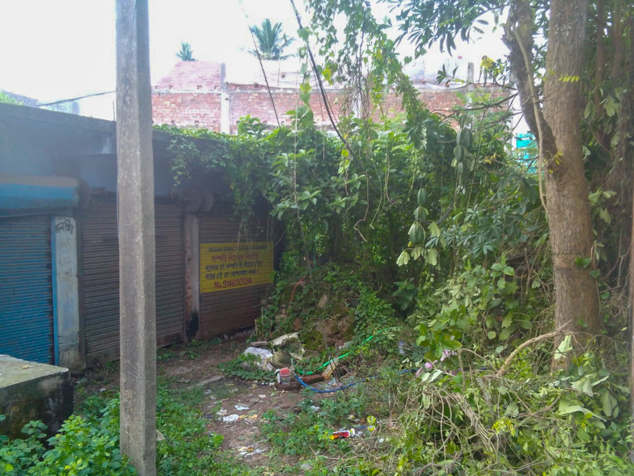 Shops for sale in Champadanga/Tarkeshwar — photo 14