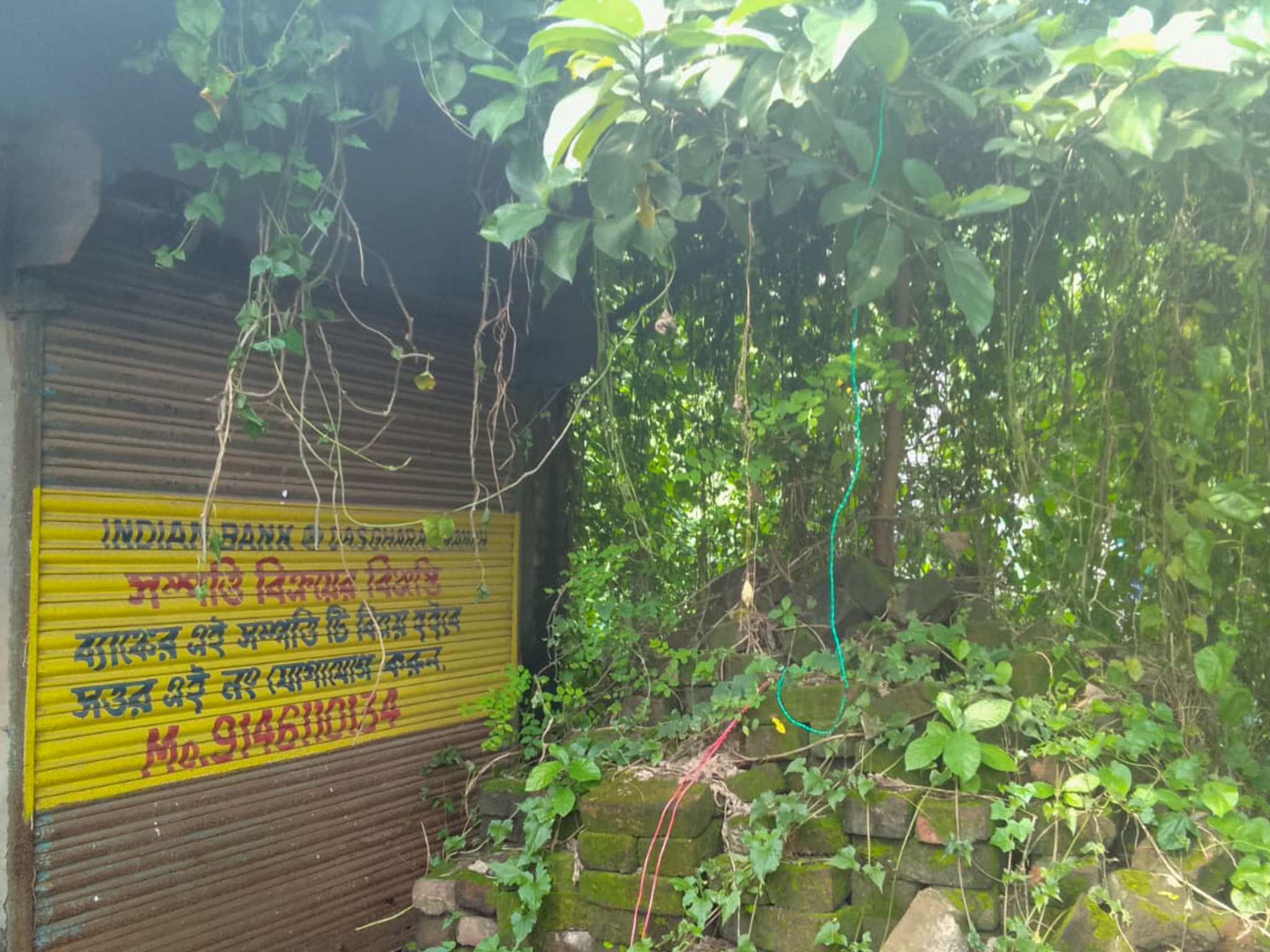 Shops for sale in Champadanga/Tarkeshwar — photo 2