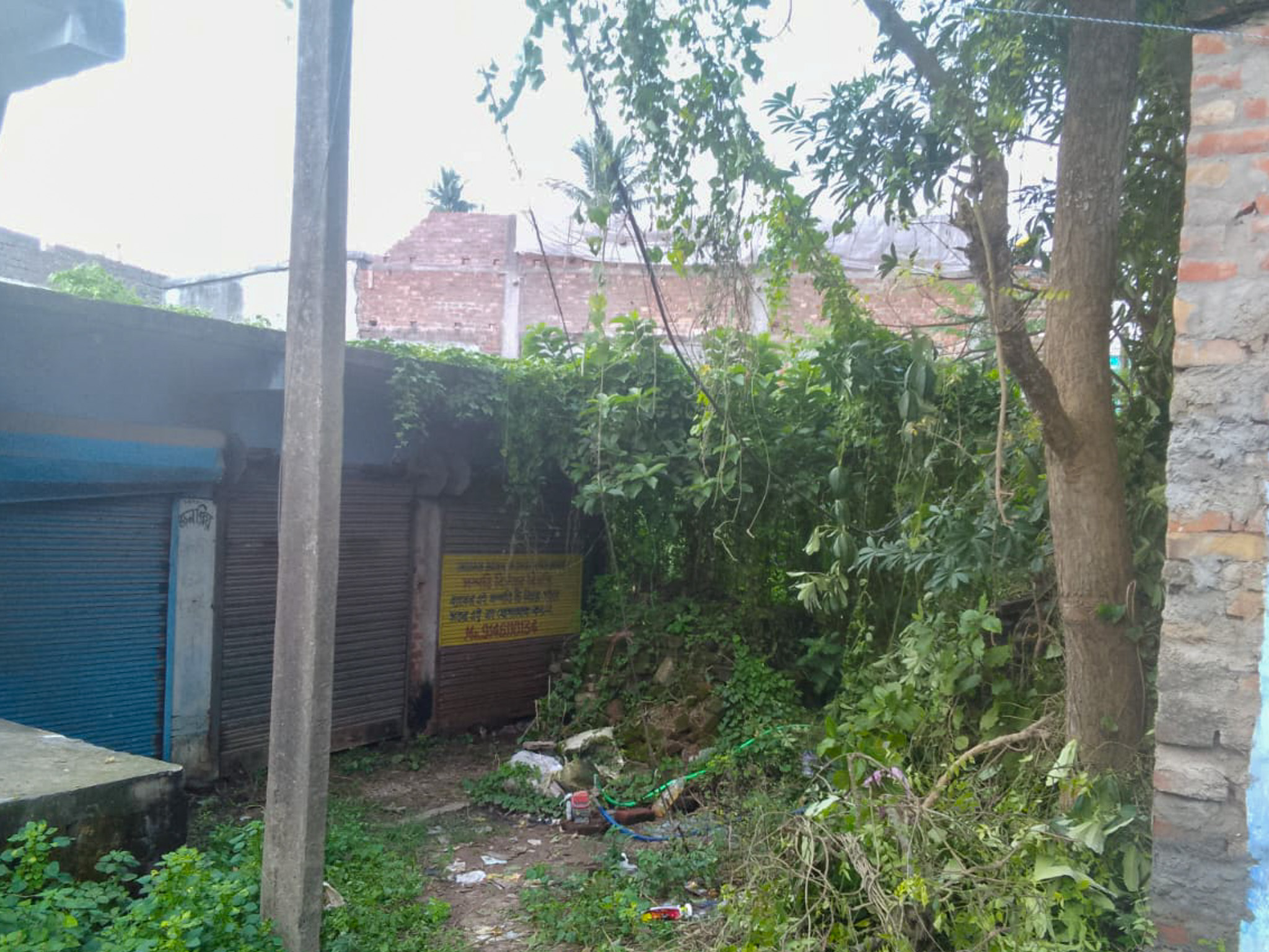 Shops for sale in Champadanga/Tarkeshwar — photo 18