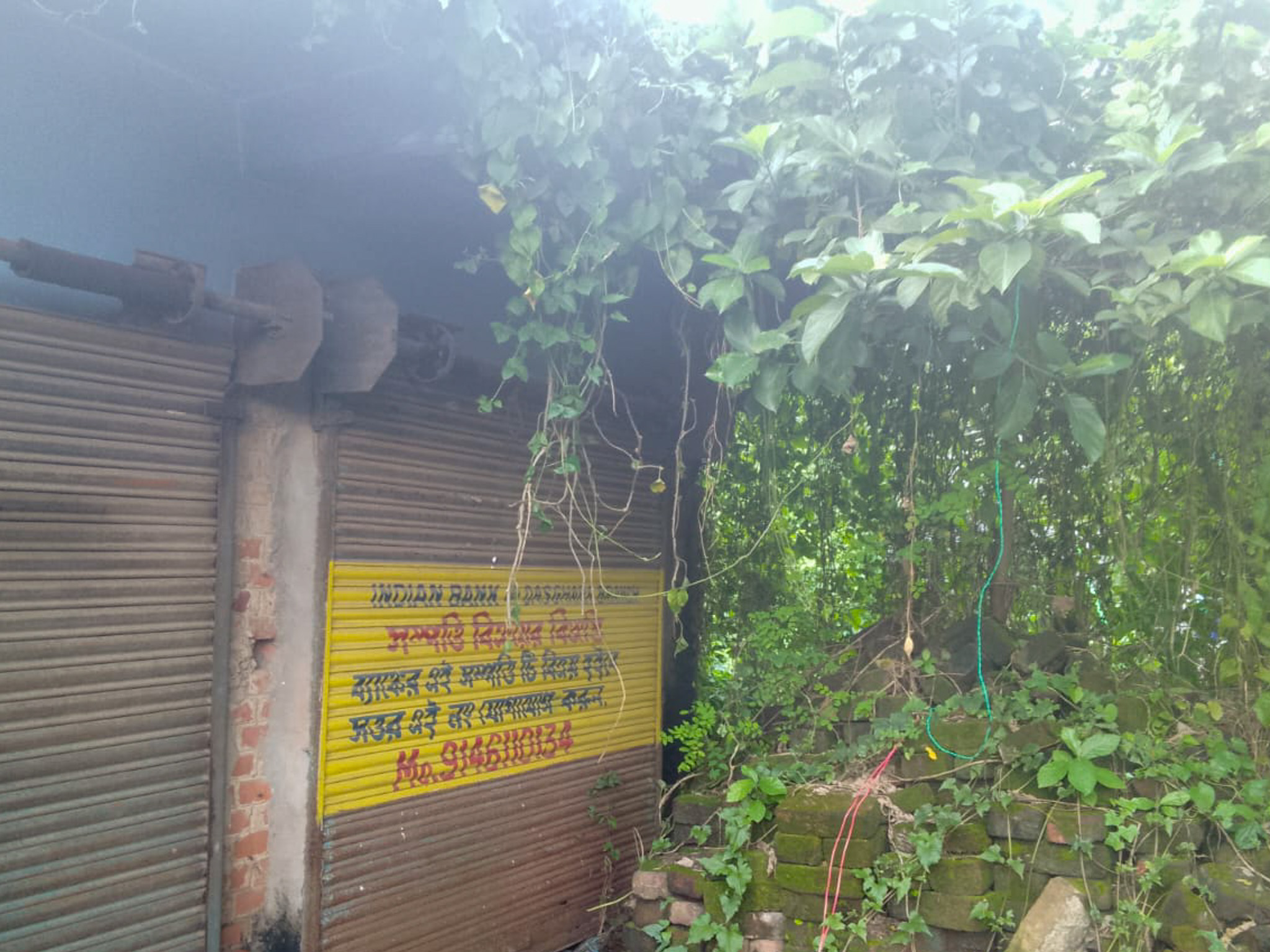 Shops for sale in Champadanga/Tarkeshwar — photo 17