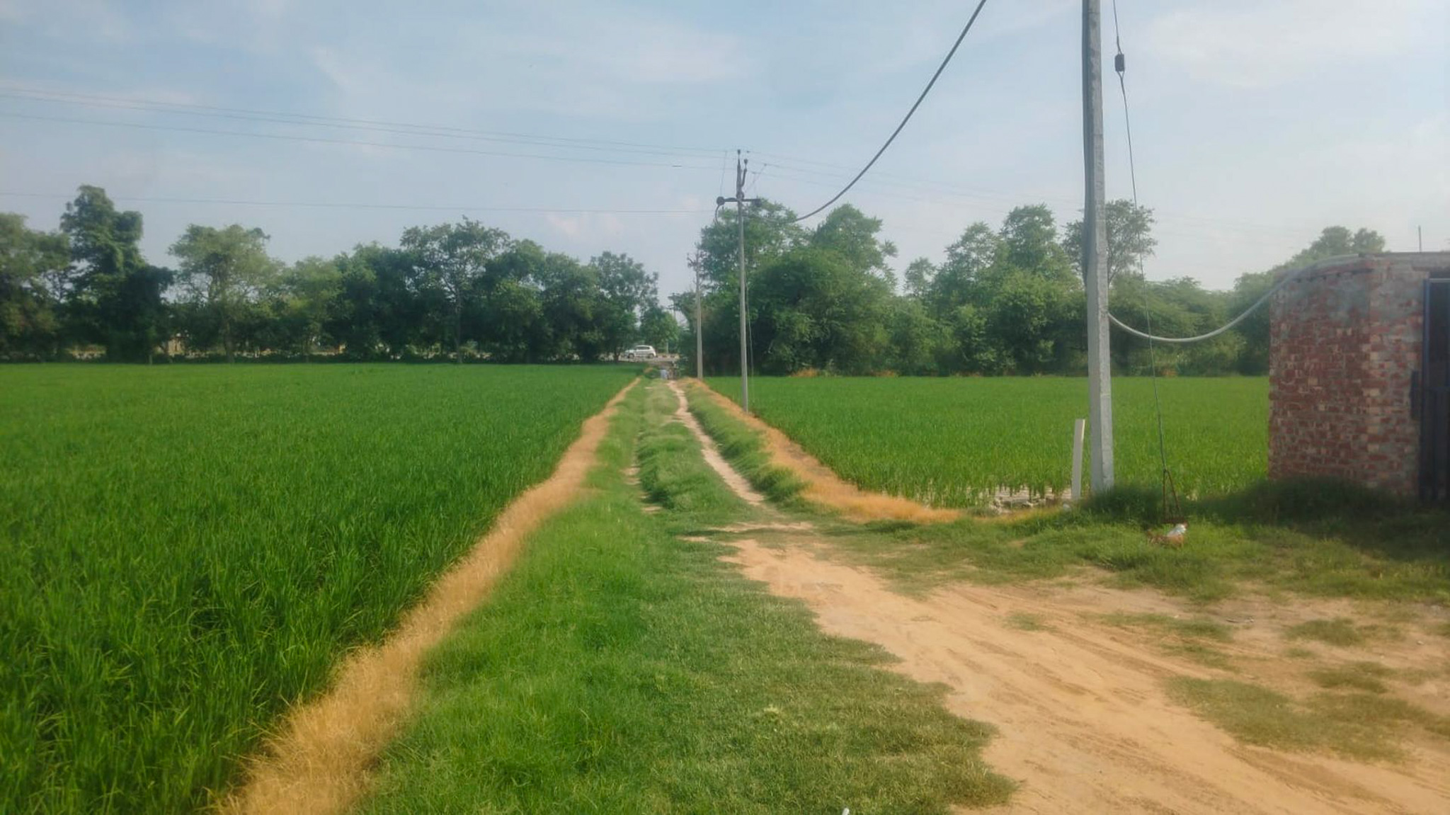 12098 square feet Industrial Plot with Factory Building for sale in VPO Bahadurpur, District Sangrur, Punjab-148001 Sangrur — photo 13